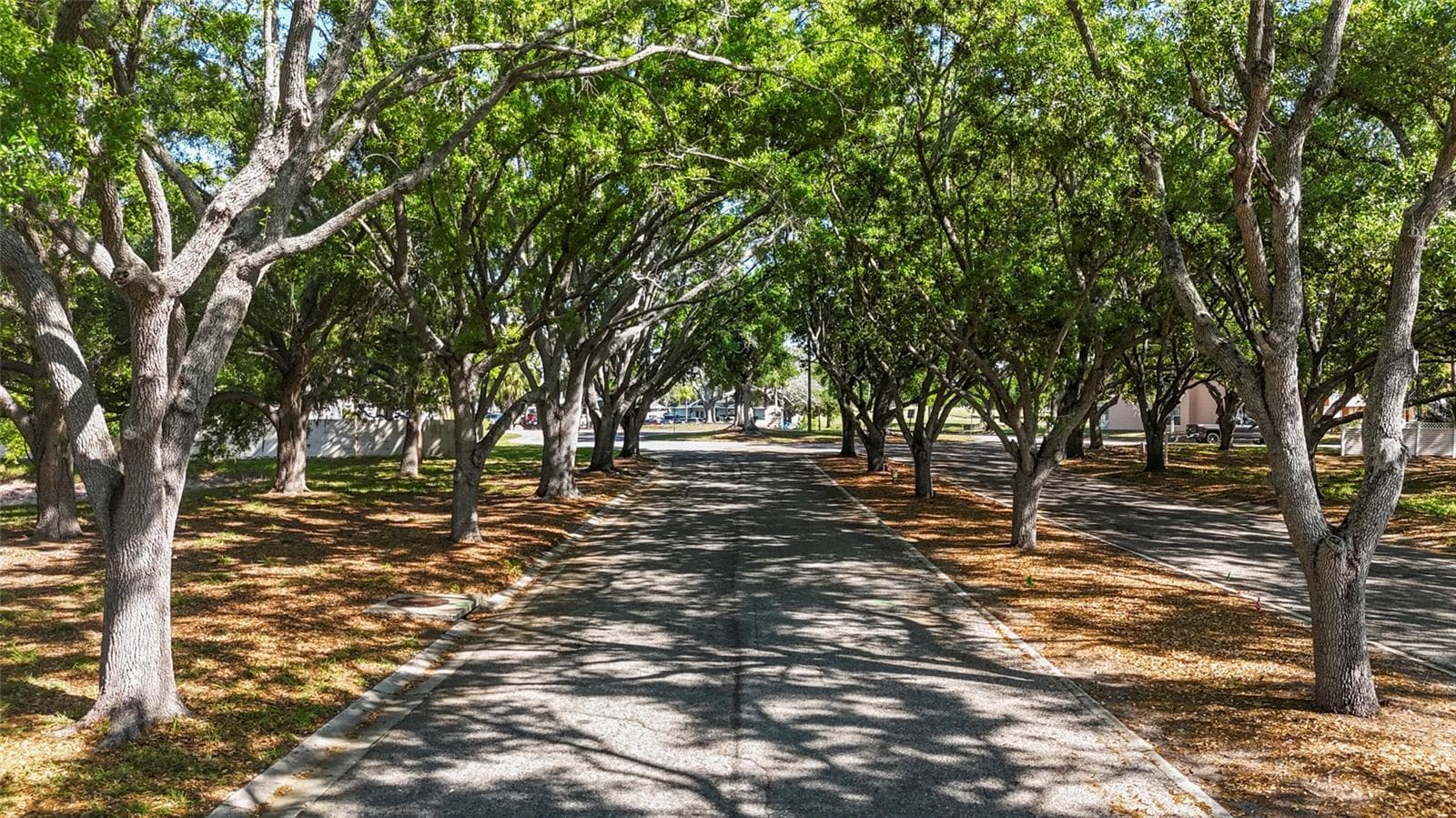 Condominium at 4210 IRONWOOD CIR #308J, BRADENTON, photo 3 of 59