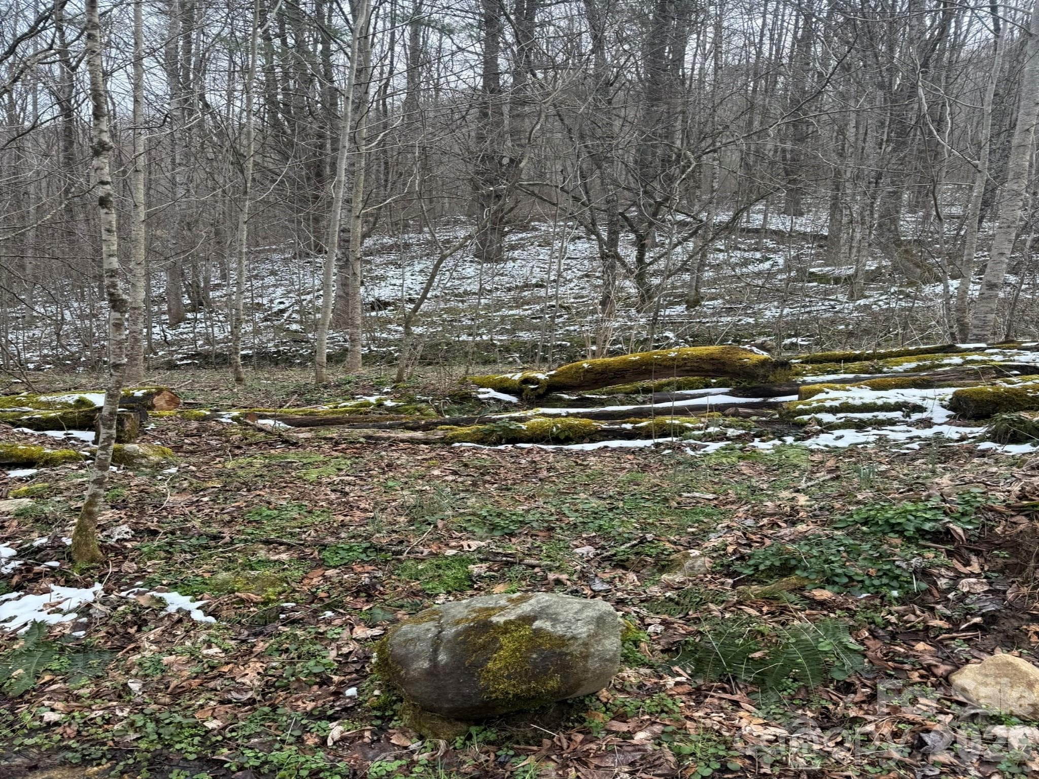 Acreage at Acreage, Marshall, photo 3 of 8
