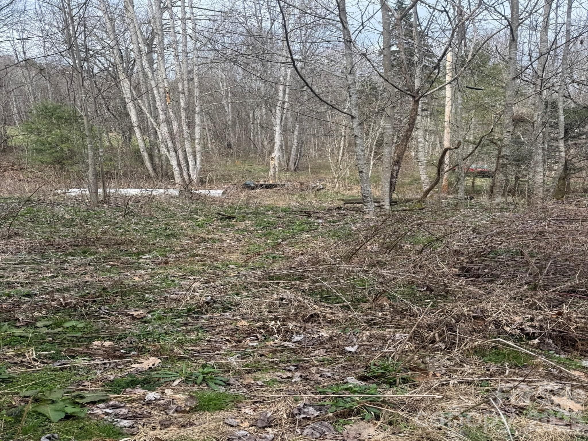 Acreage at Acreage, Marshall, photo 4 of 8