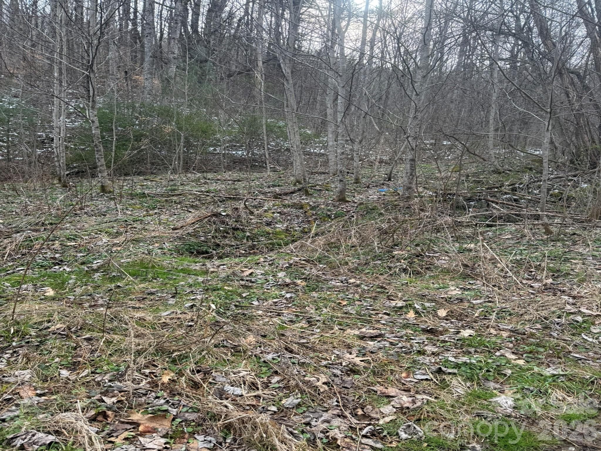 Acreage at Acreage, Marshall, photo 5 of 8
