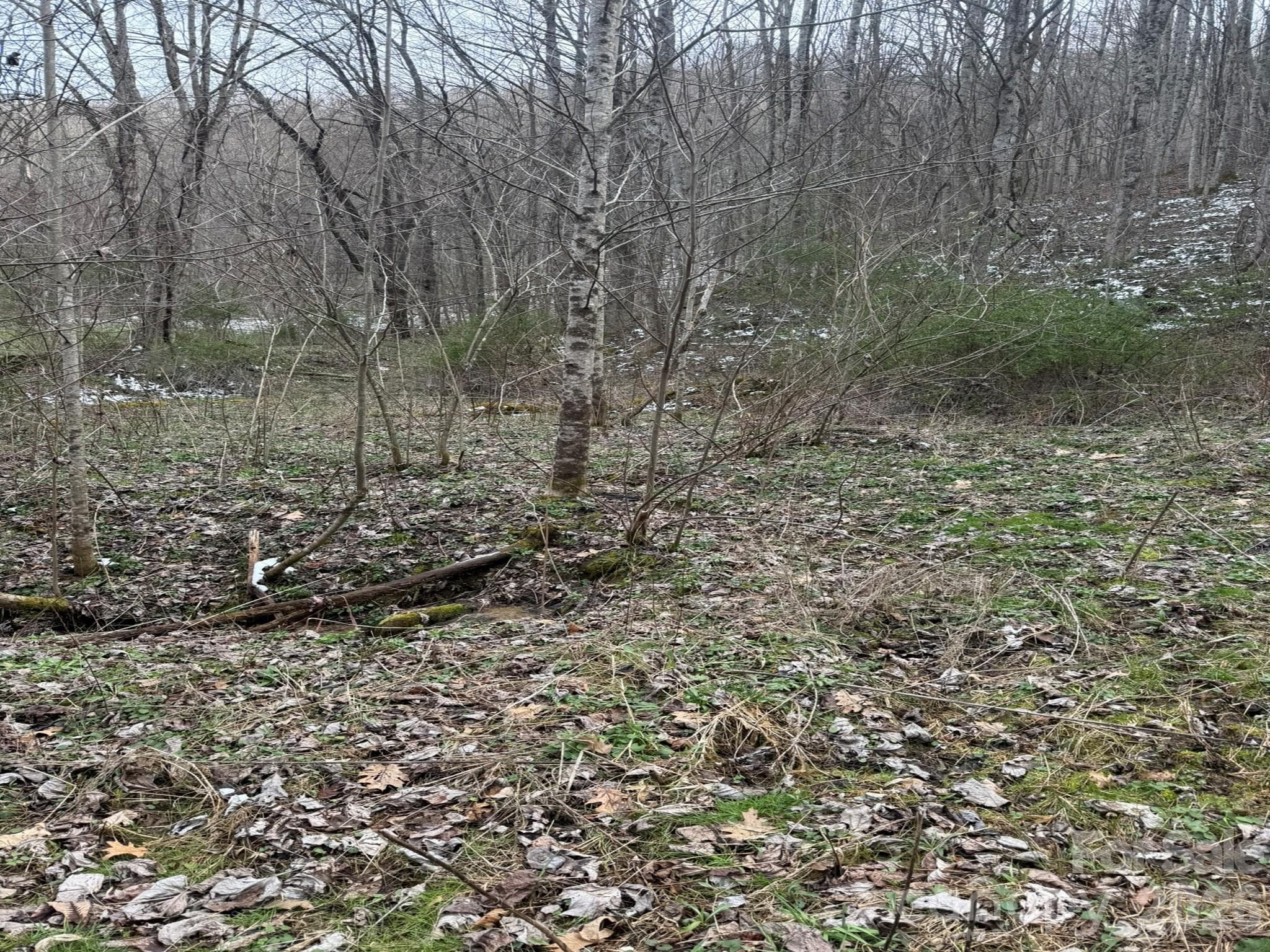 Acreage at Acreage, Marshall, photo 6 of 8