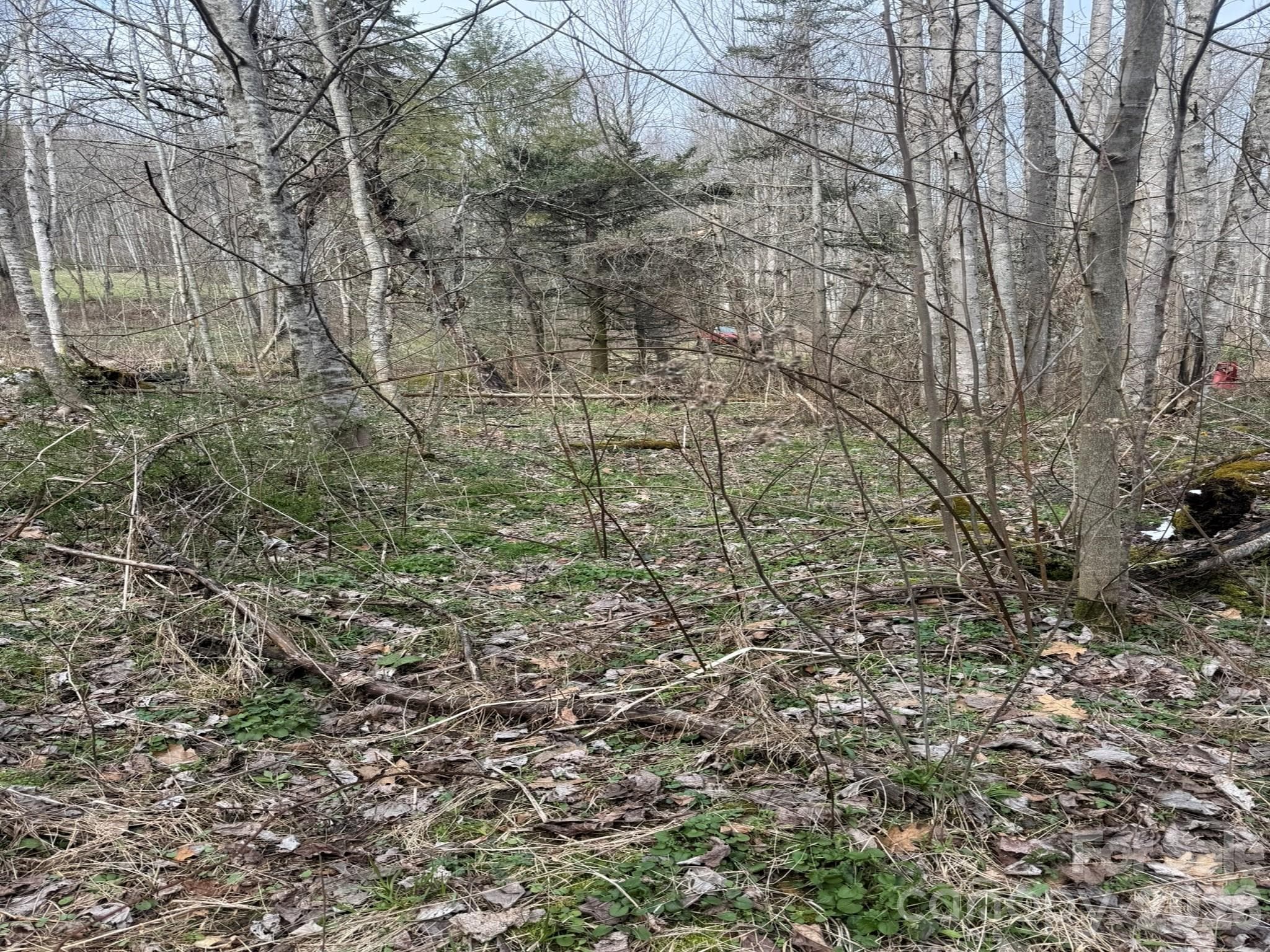 Acreage at Acreage, Marshall, photo 7 of 8
