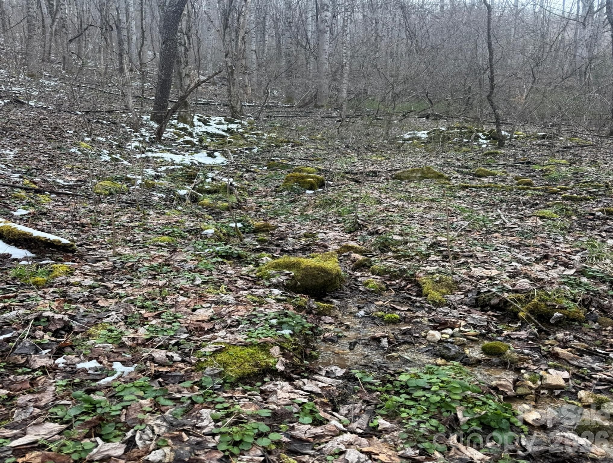 Acreage at Marshall, photo 4 of 9