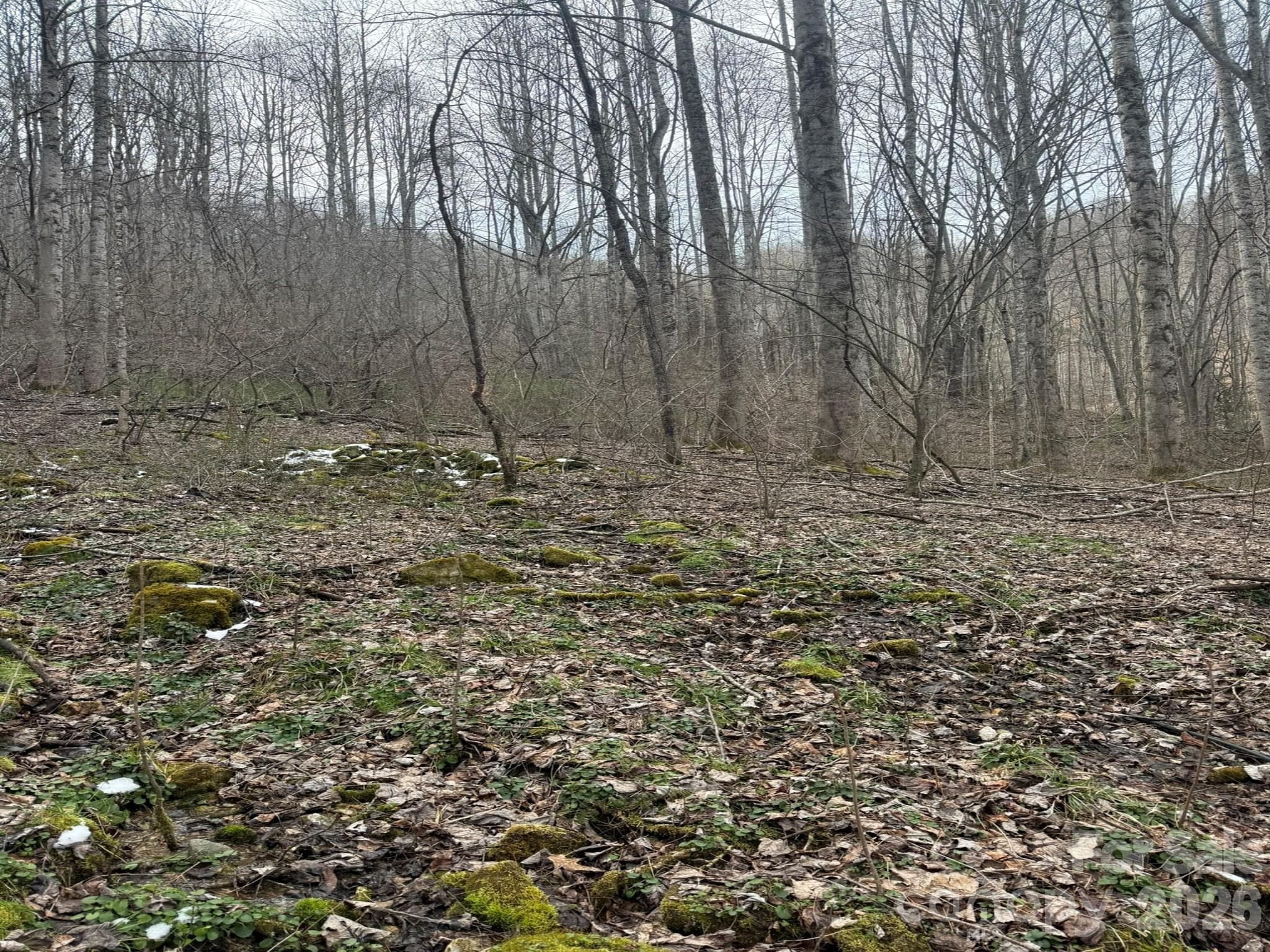 Acreage at Marshall, photo 5 of 9