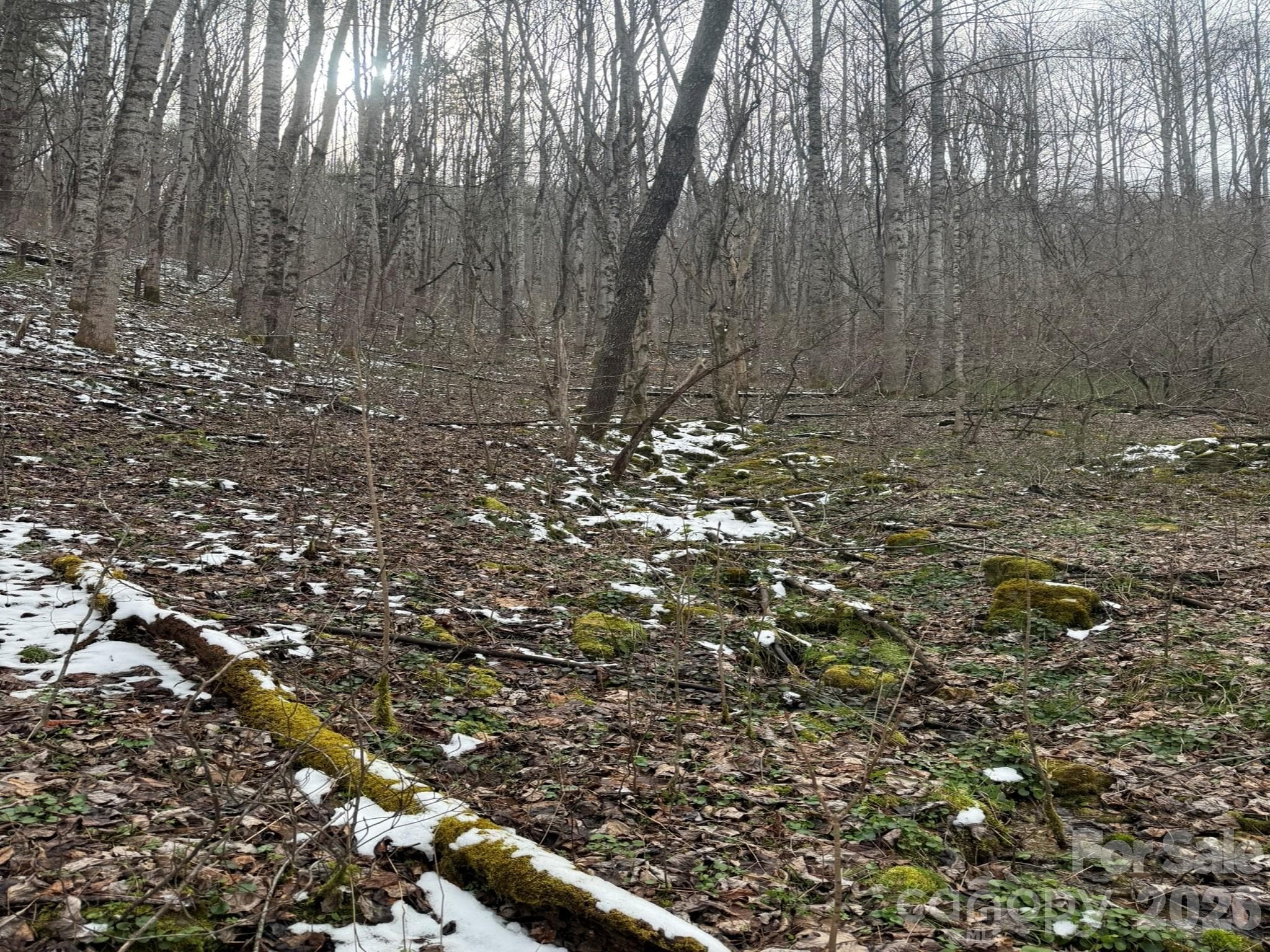 Acreage at Marshall, photo 6 of 9