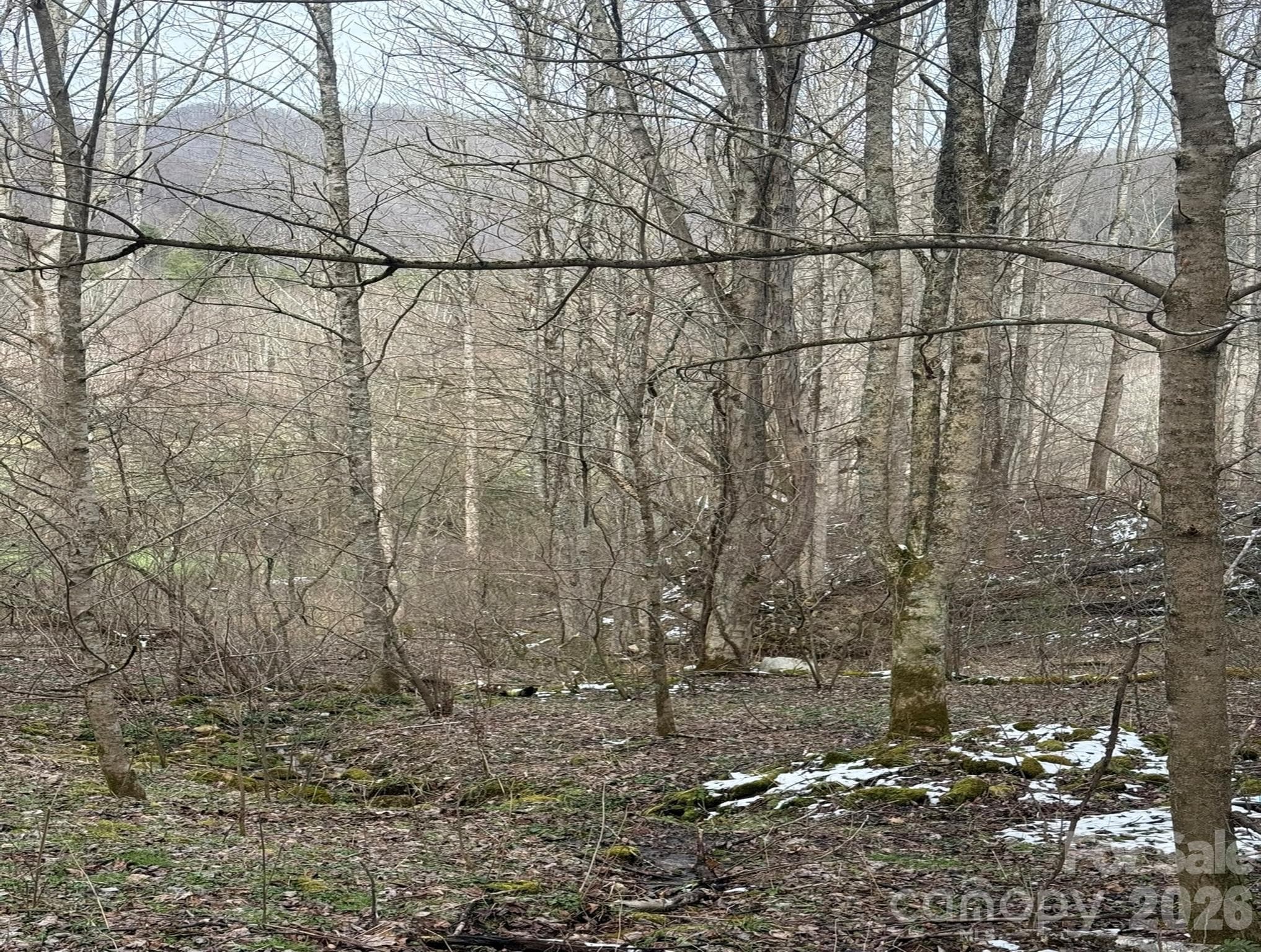 Acreage at Marshall, photo 7 of 9