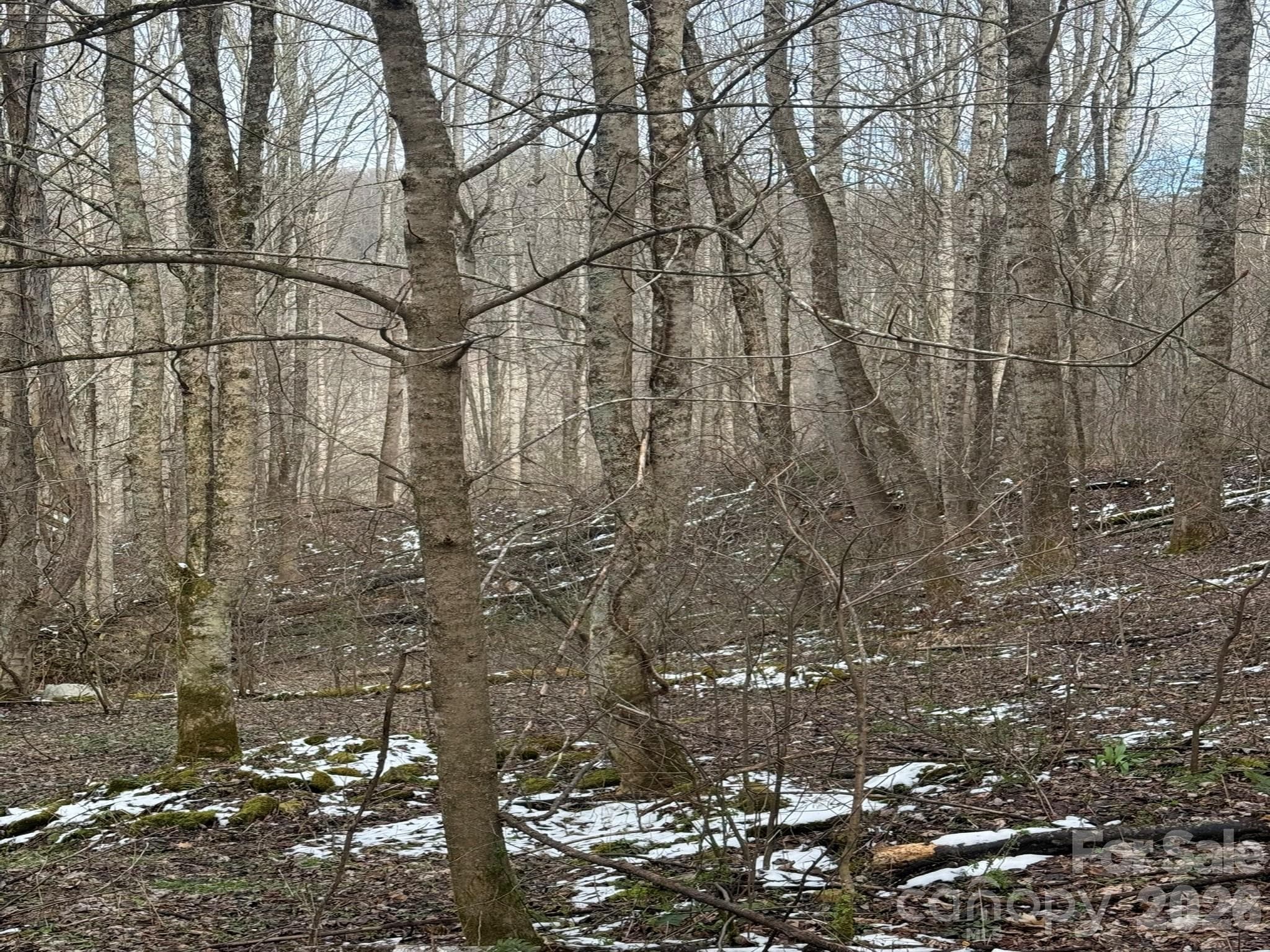 Acreage at Marshall, photo 8 of 9