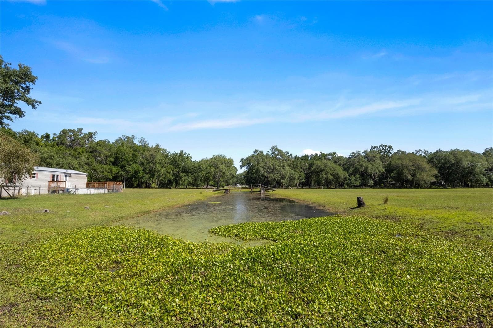 Pond - 11902 CR 727, WEBSTER