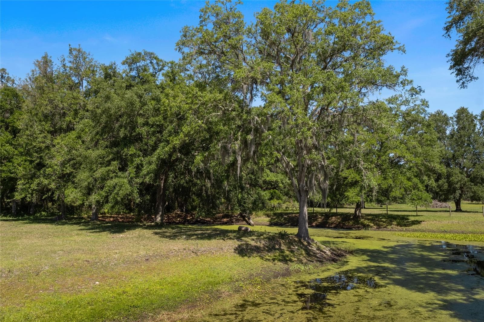 Farm at 11902 CR 727, WEBSTER, photo 24 of 28