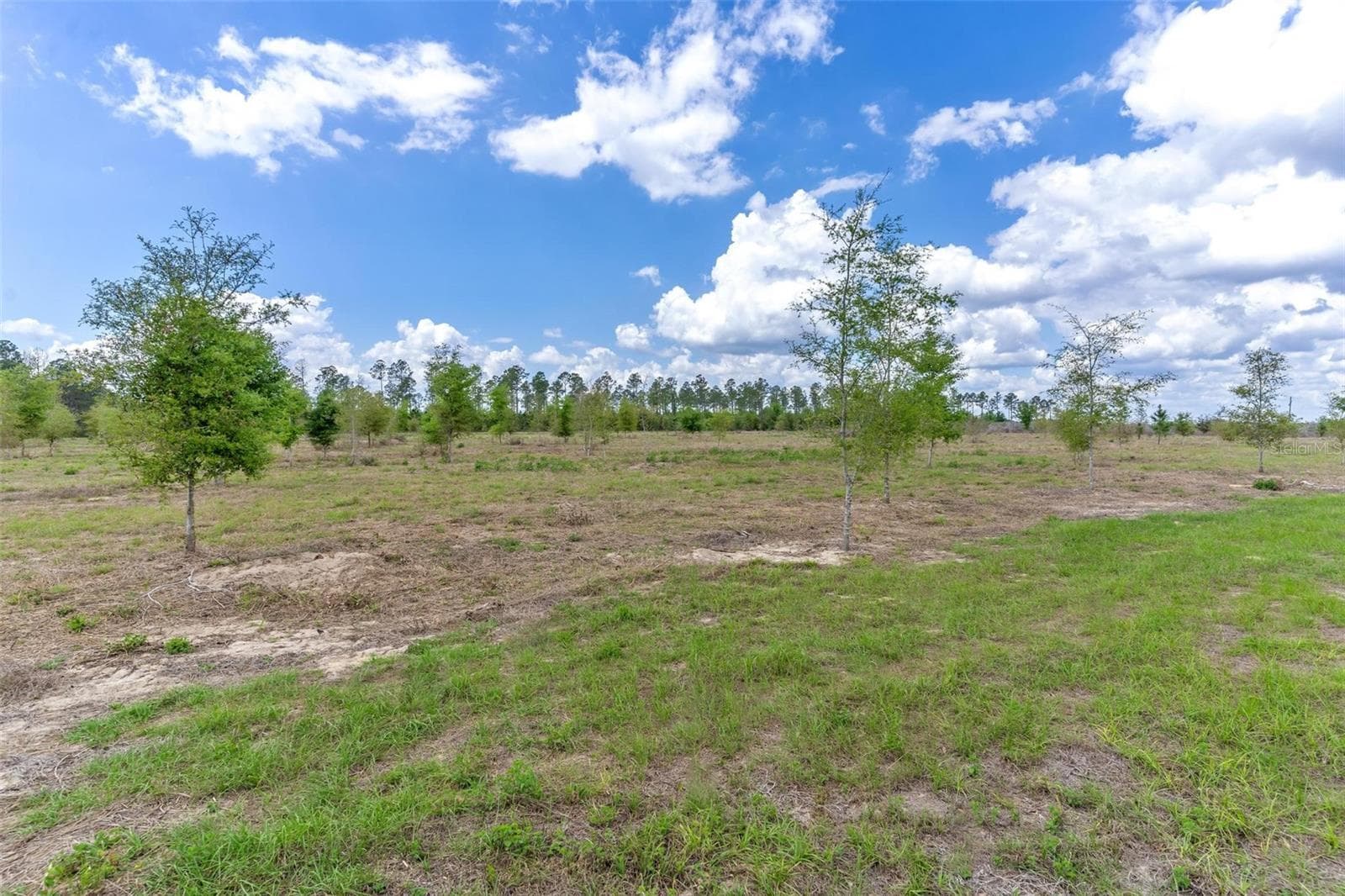 Land at SE 170TH AVE, WEIRSDALE, photo 2 of 10