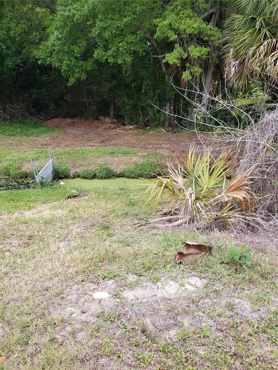Land at GROSSE AVE, TARPON SPRINGS, photo 2 of 69