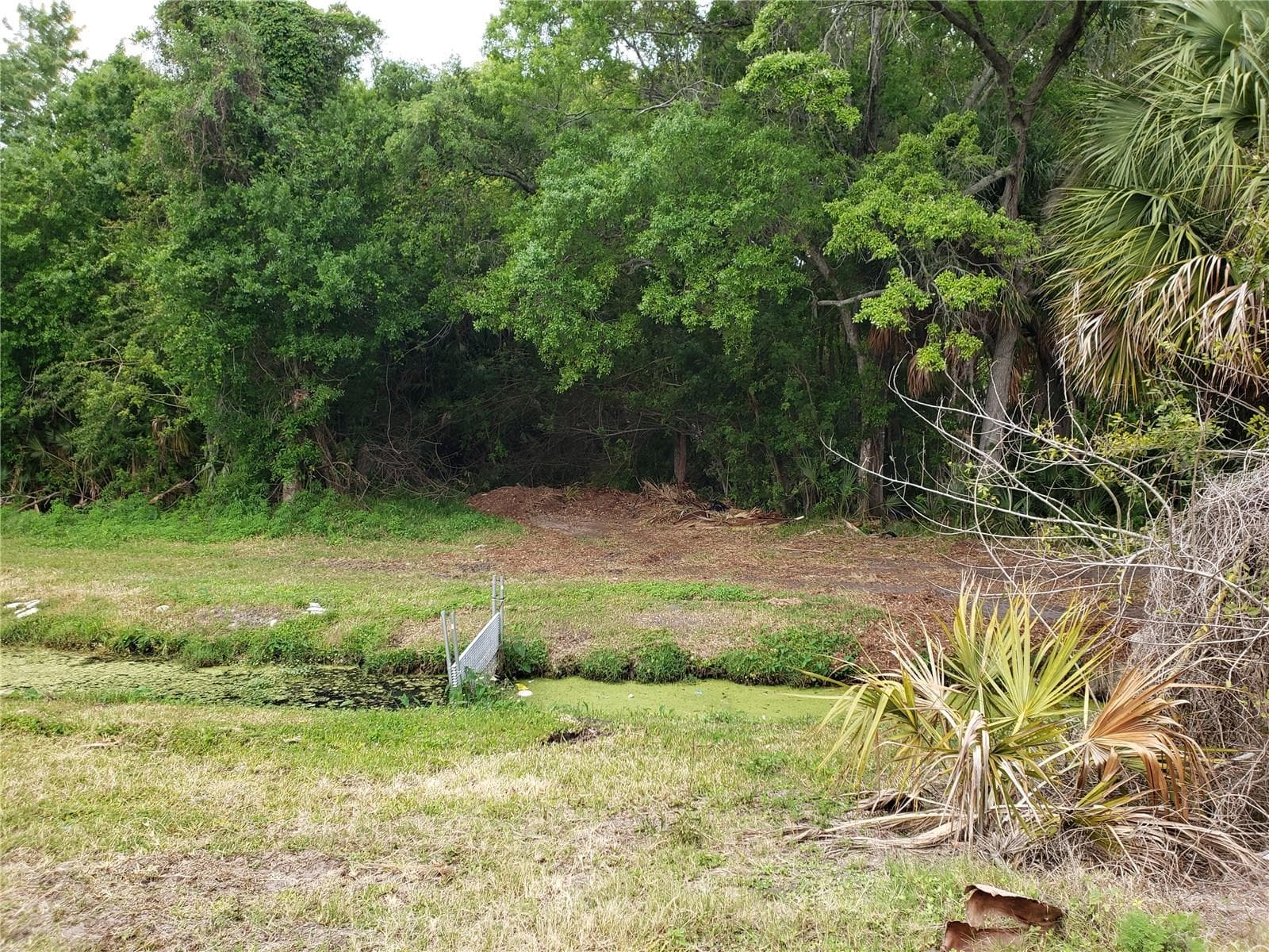 Land at GROSSE AVE, TARPON SPRINGS, photo 3 of 69