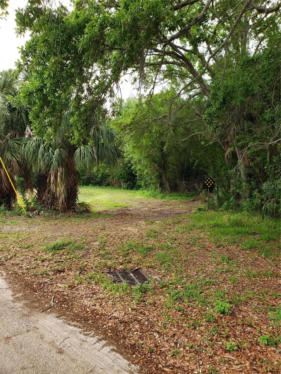 Land at GROSSE AVE, TARPON SPRINGS, photo 4 of 69