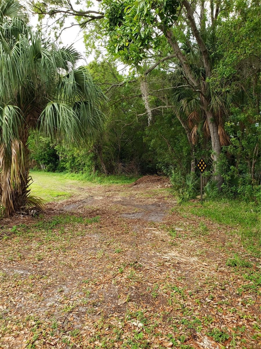 Land at GROSSE AVE, TARPON SPRINGS, photo 5 of 69