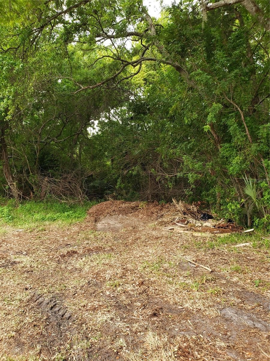 Land at GROSSE AVE, TARPON SPRINGS, photo 6 of 69