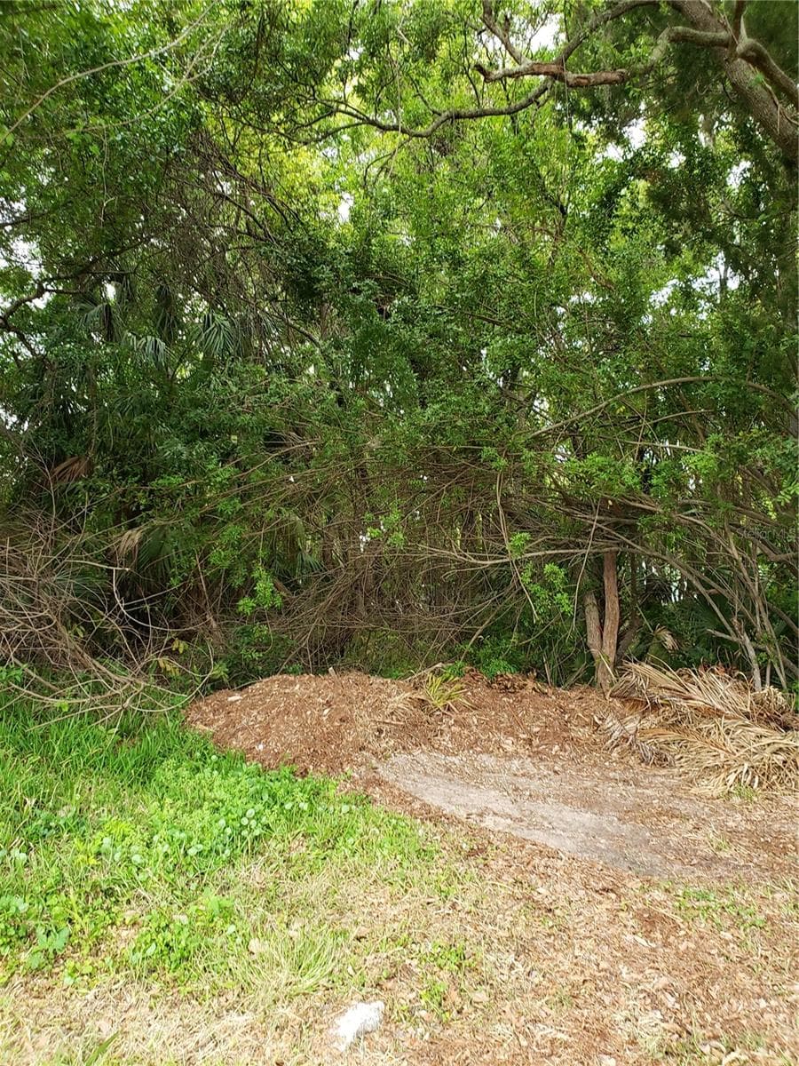 Land at GROSSE AVE, TARPON SPRINGS, photo 7 of 69