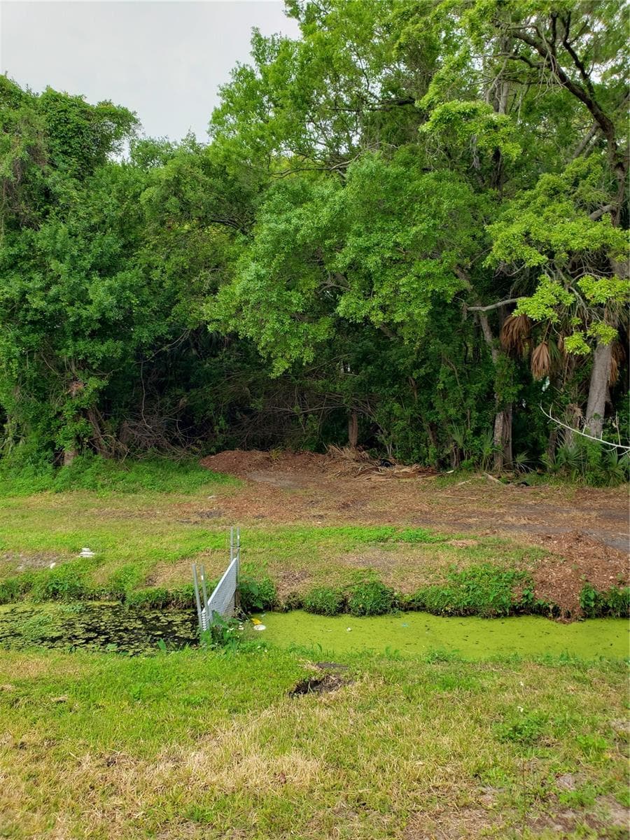 Land at GROSSE AVE, TARPON SPRINGS, photo 8 of 69