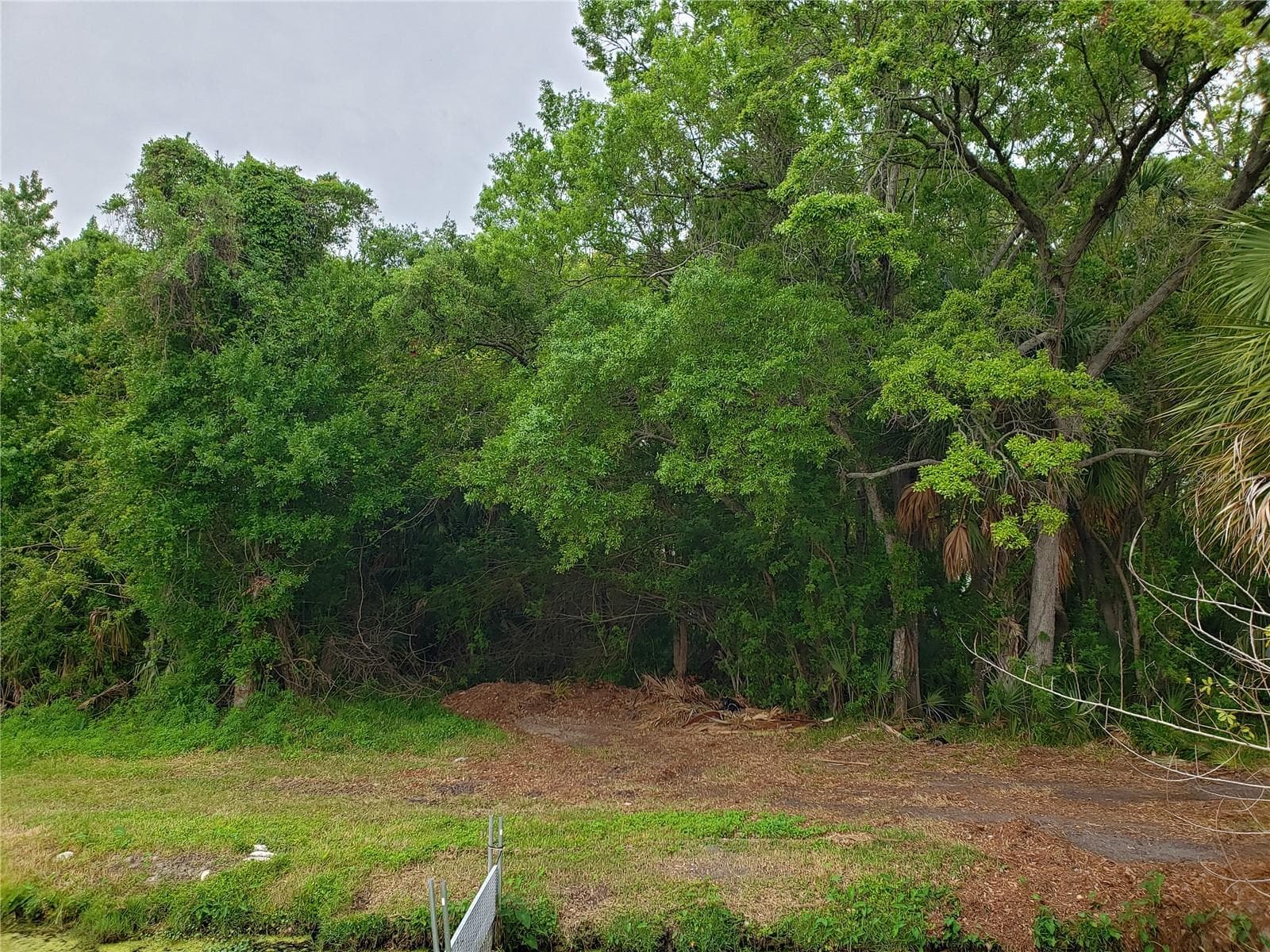 Land at GROSSE AVE, TARPON SPRINGS, photo 9 of 69