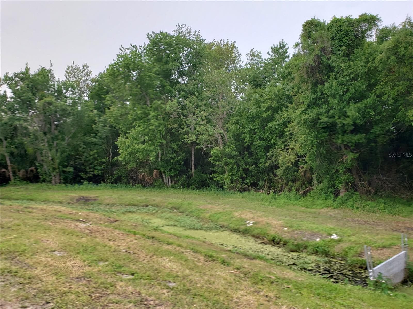 Land at GROSSE AVE, TARPON SPRINGS, photo 10 of 69