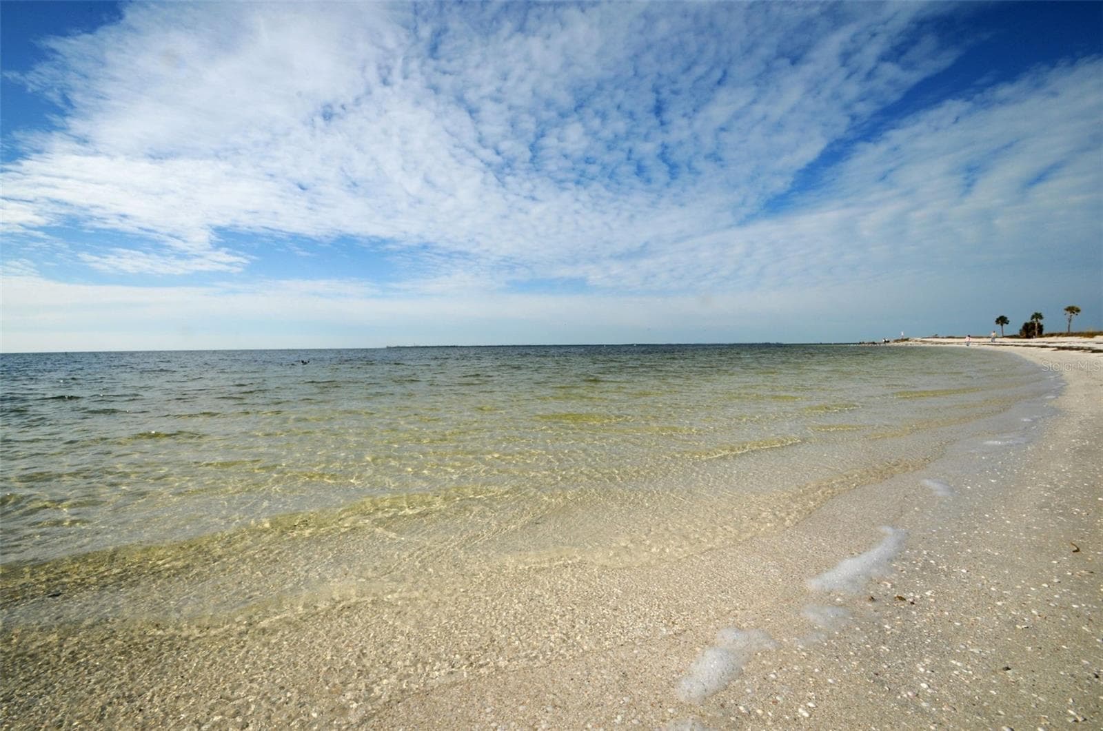 Land at GROSSE AVE, TARPON SPRINGS, photo 24 of 69