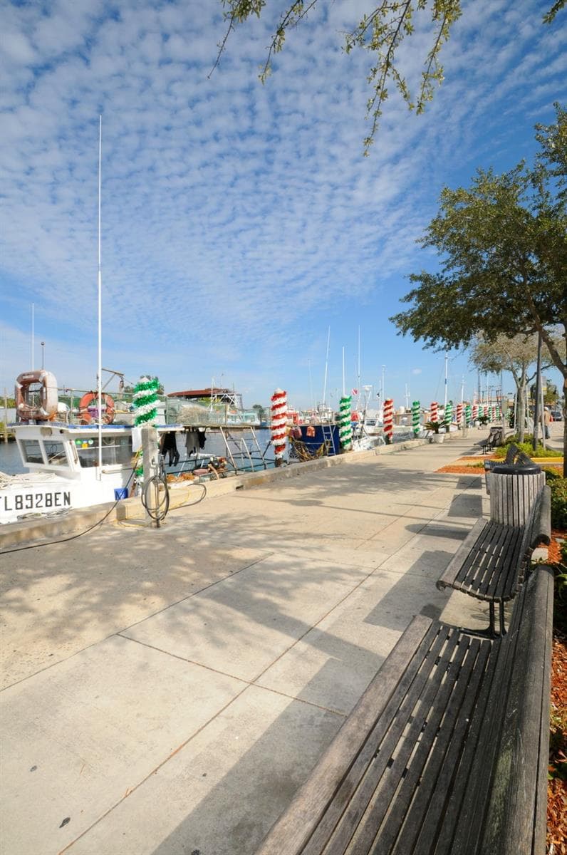 Land at GROSSE AVE, TARPON SPRINGS, photo 35 of 69