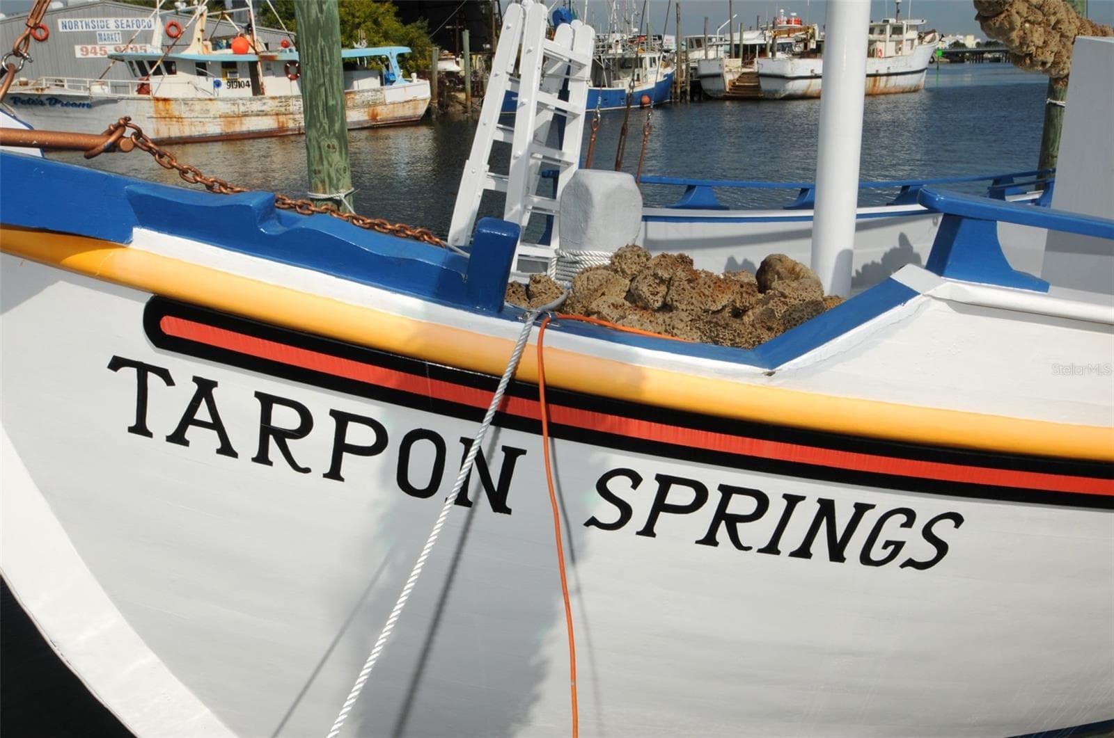 Land at GROSSE AVE, TARPON SPRINGS, photo 36 of 69