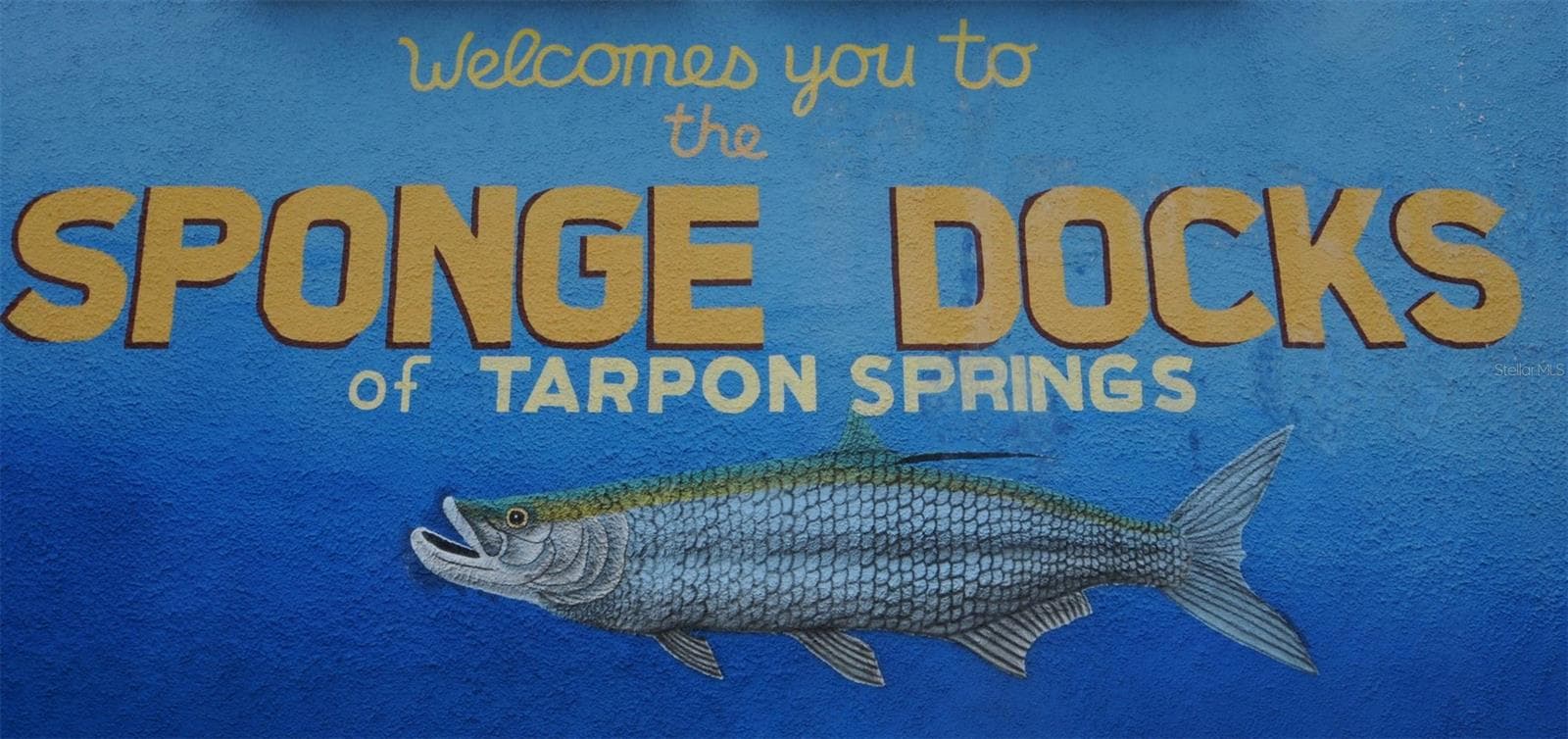 Land at GROSSE AVE, TARPON SPRINGS, photo 43 of 69