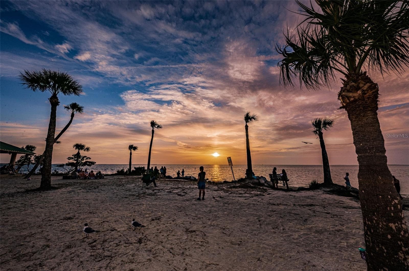 Land at GROSSE AVE, TARPON SPRINGS, photo 59 of 69