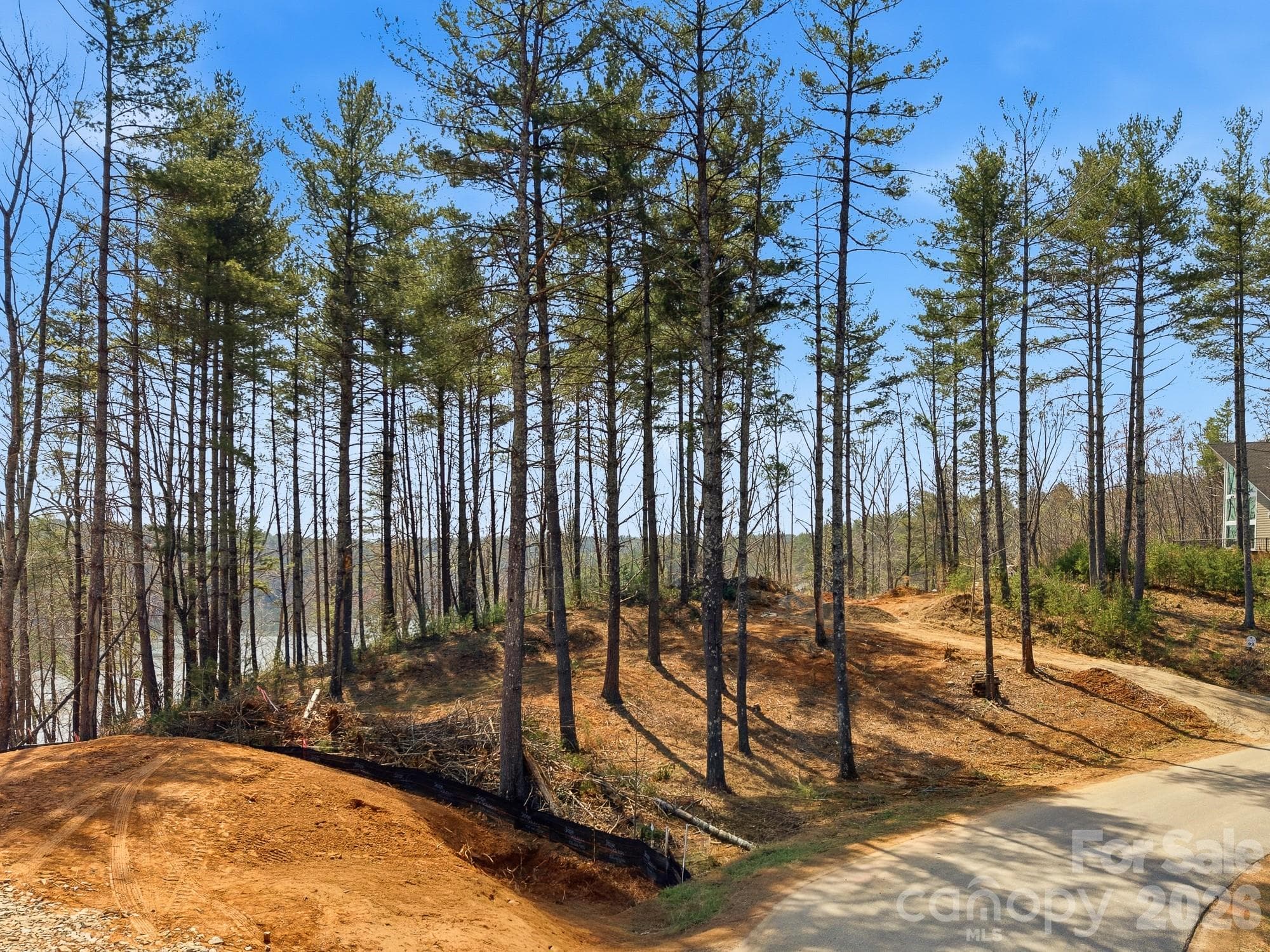 Lot at Nebo, photo 2 of 12
