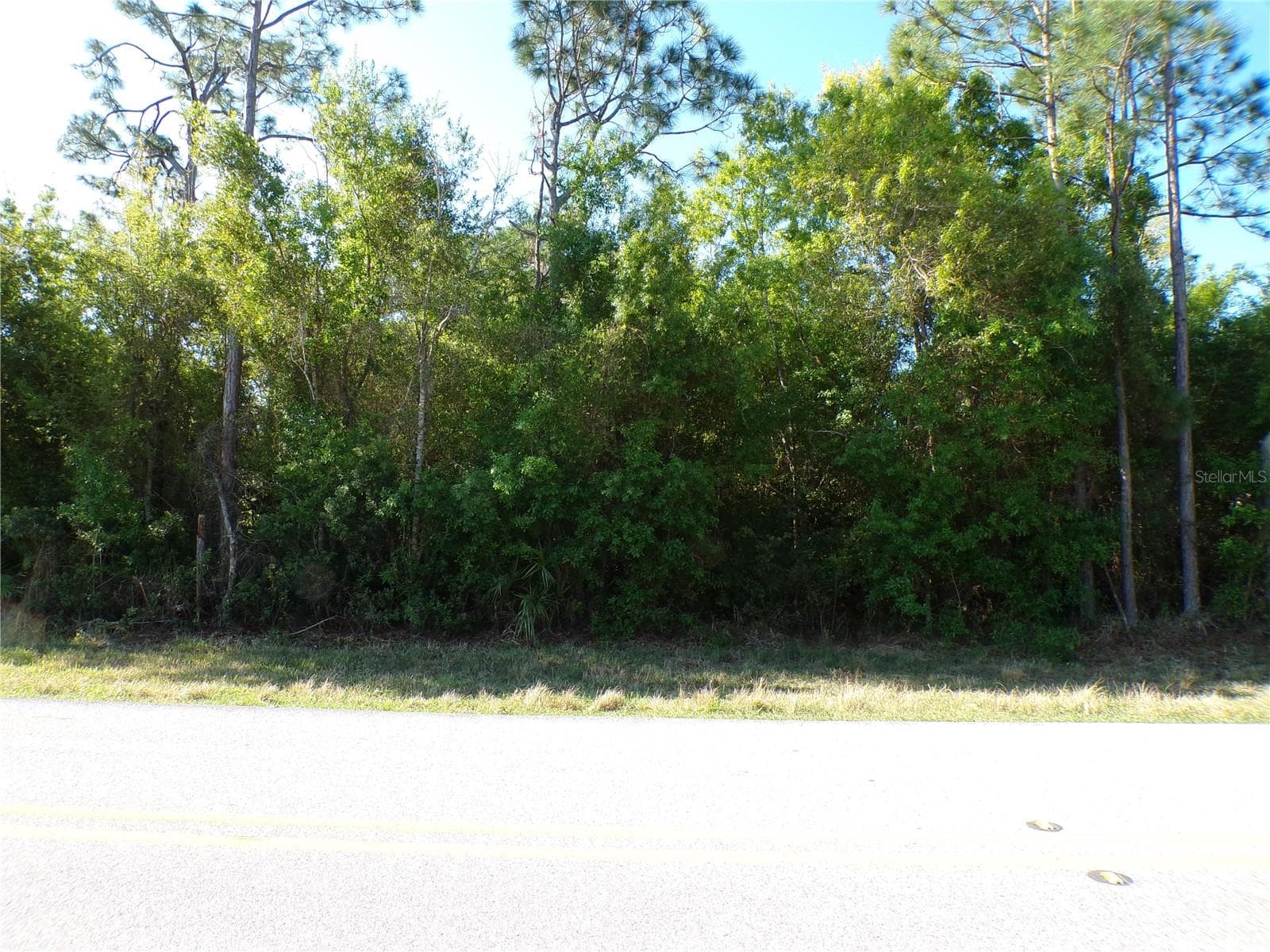 25161 AYSEN DR