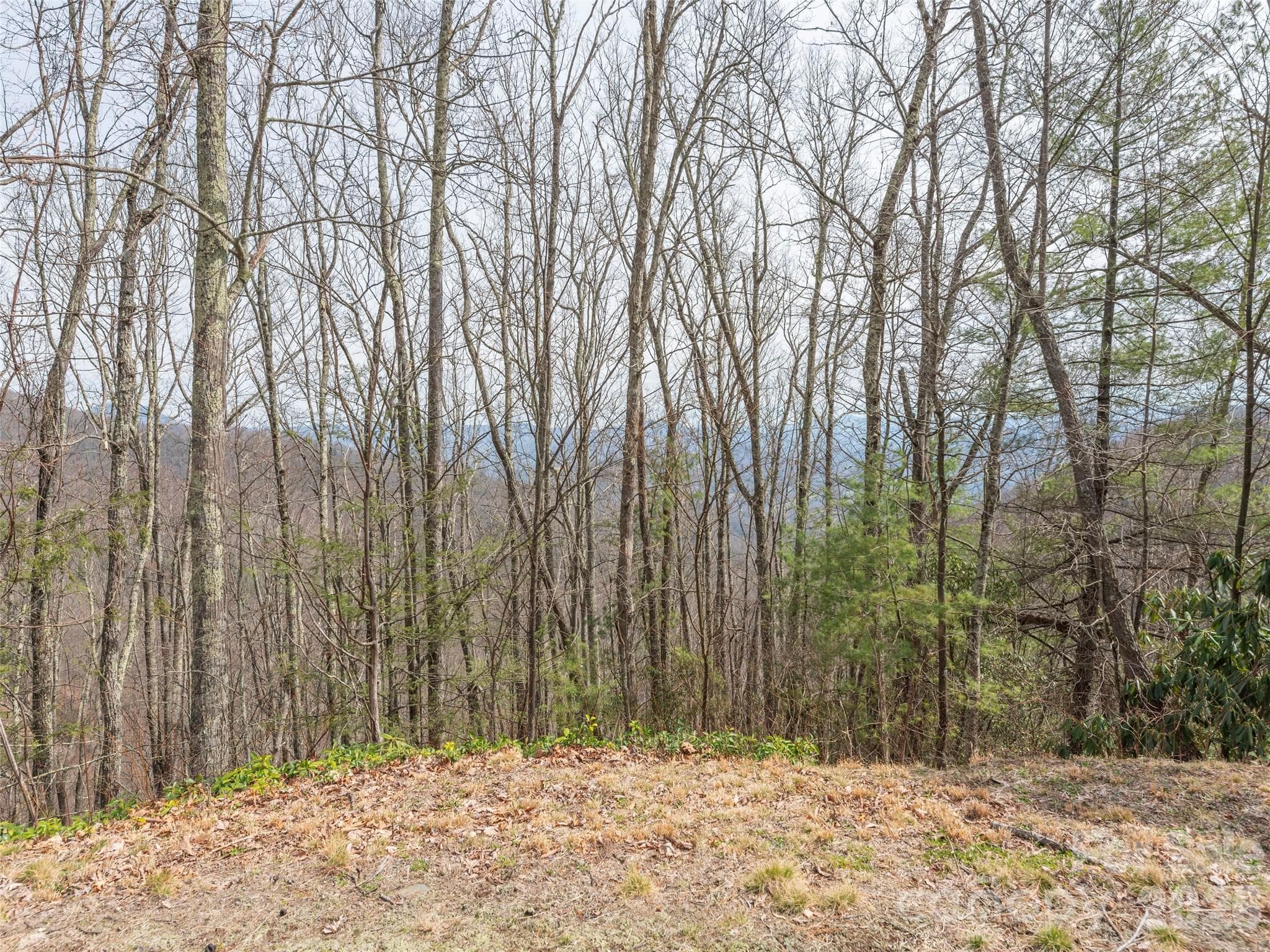 Lot at Waynesville, photo 4 of 17