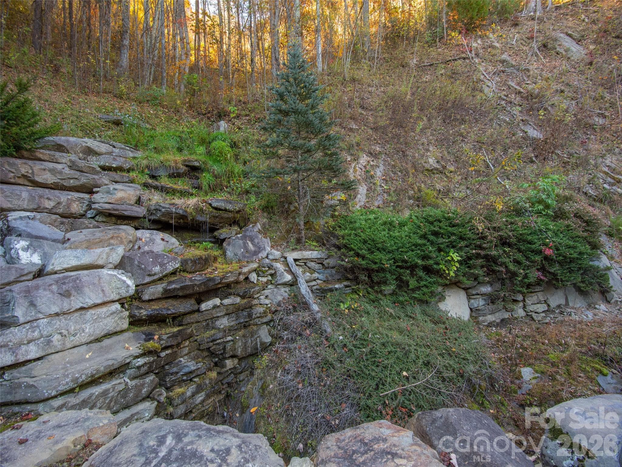 Lot at Waynesville, photo 16 of 17