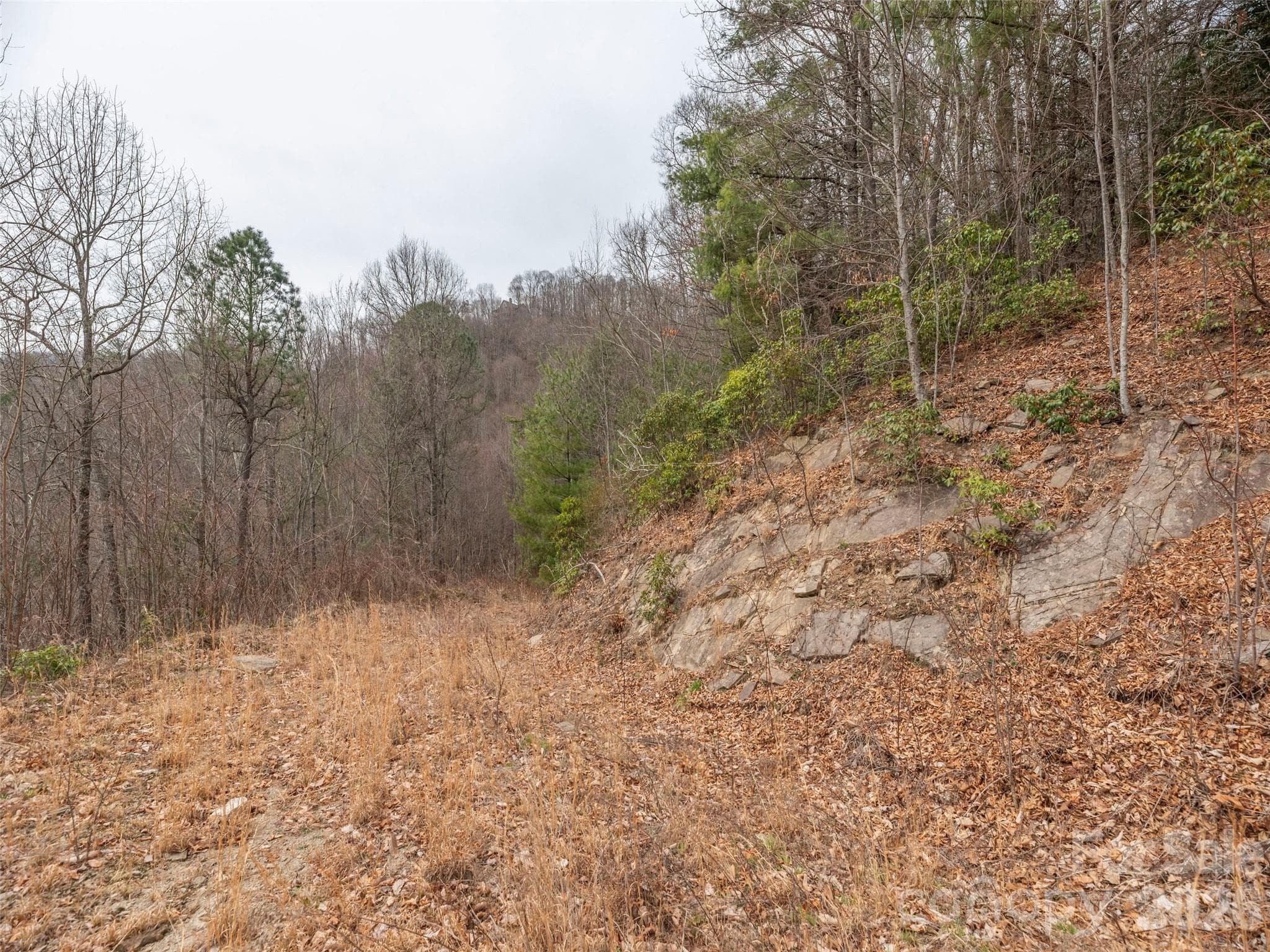 Acreage at Waynesville, photo 3 of 24