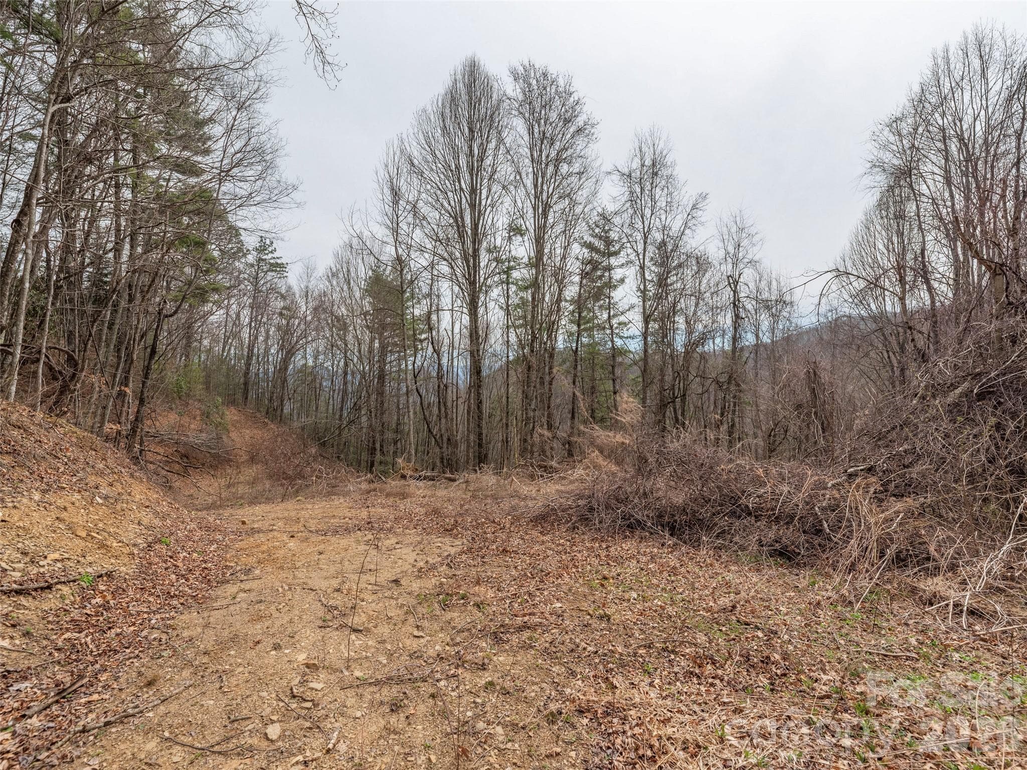 Acreage at Waynesville, photo 4 of 24