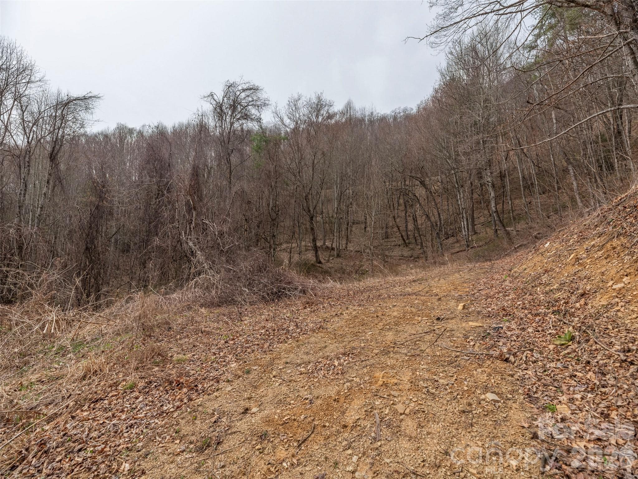 Acreage at Waynesville, photo 5 of 24