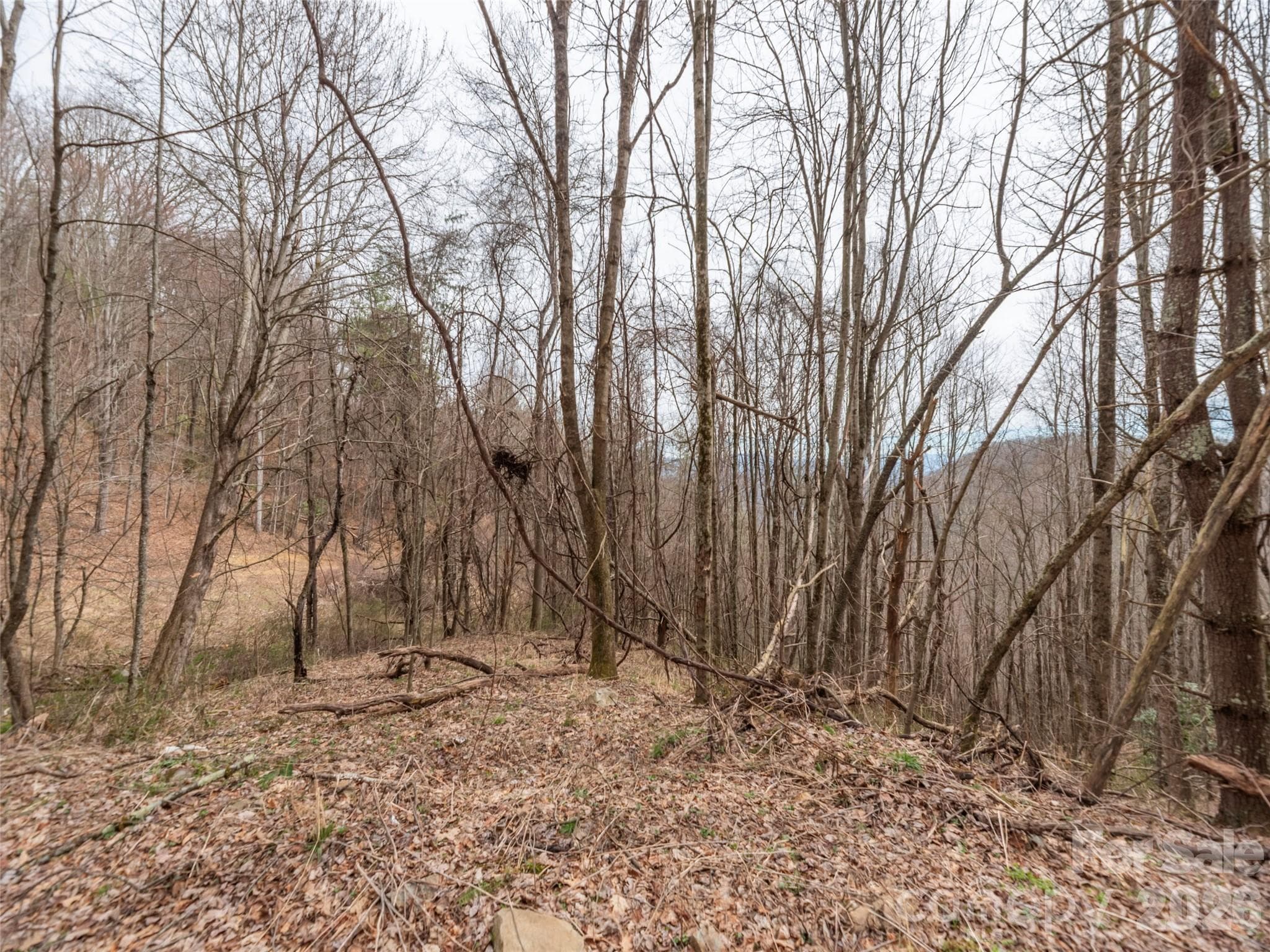 Acreage at Waynesville, photo 6 of 24