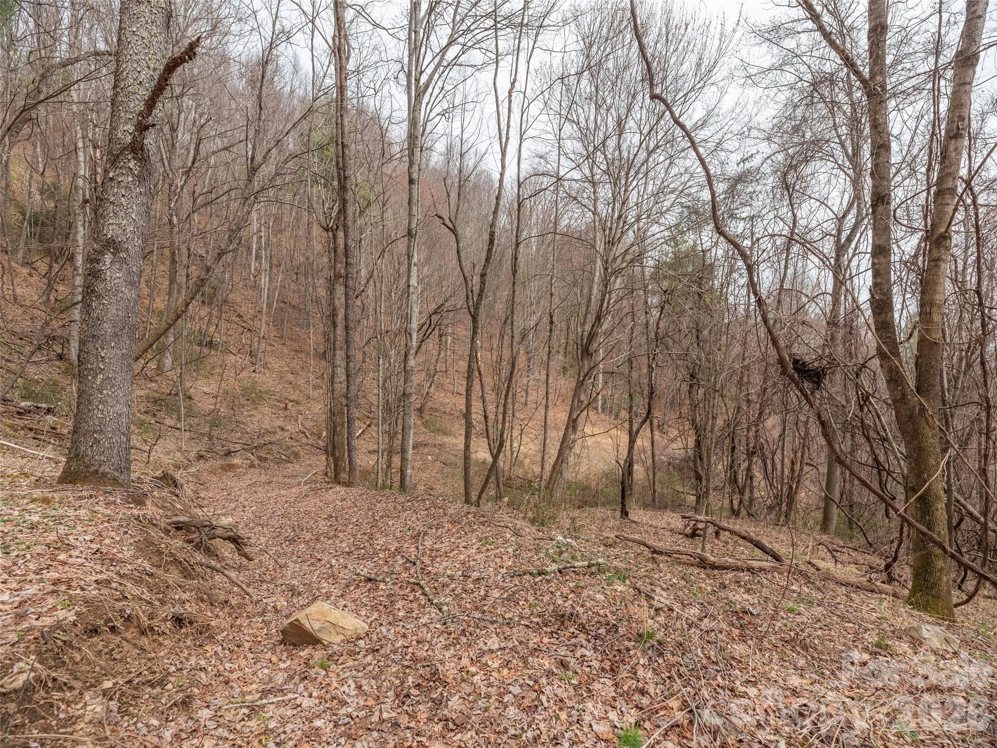 Acreage at Waynesville, photo 7 of 24