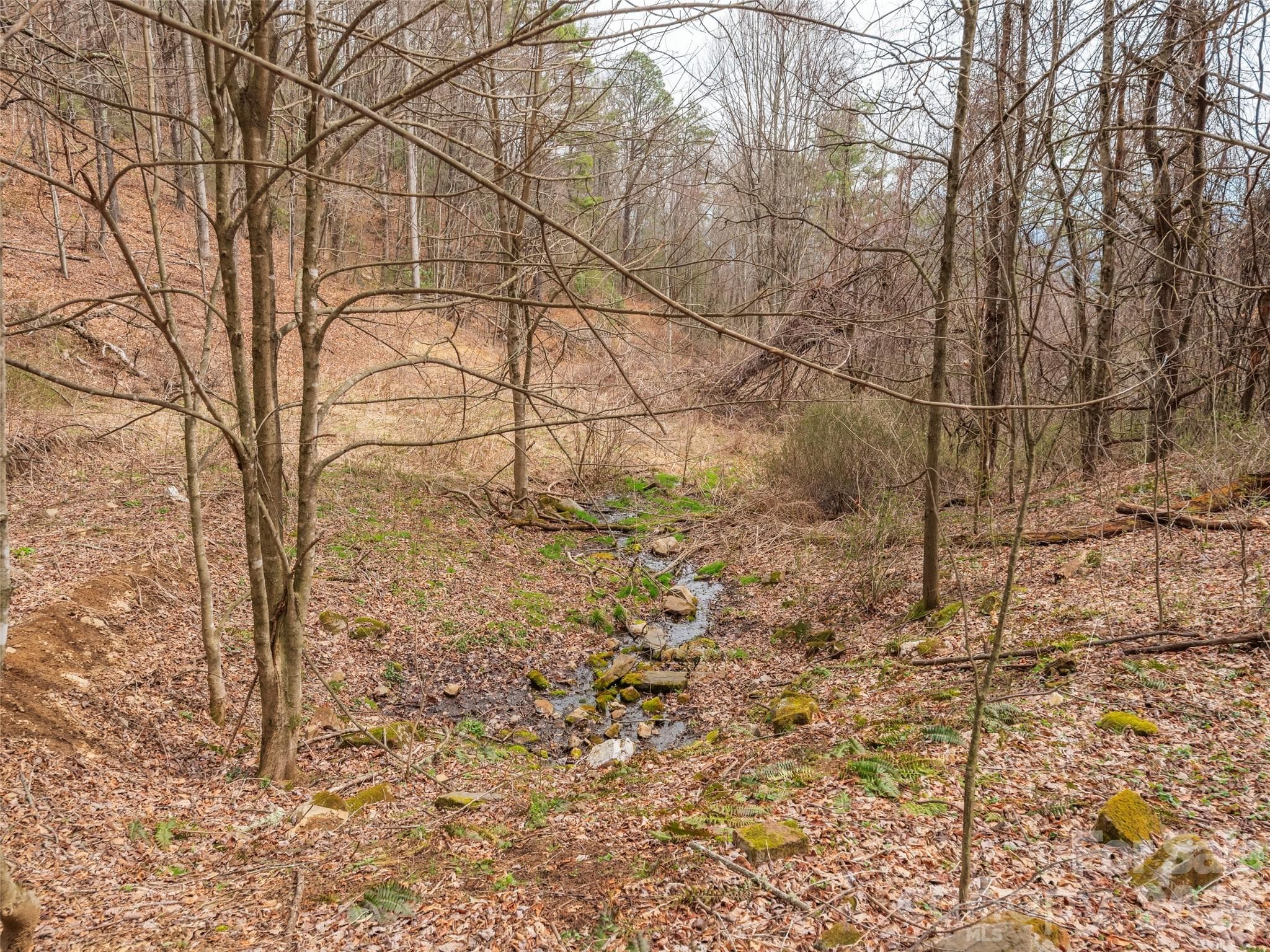 Acreage at Waynesville, photo 9 of 24