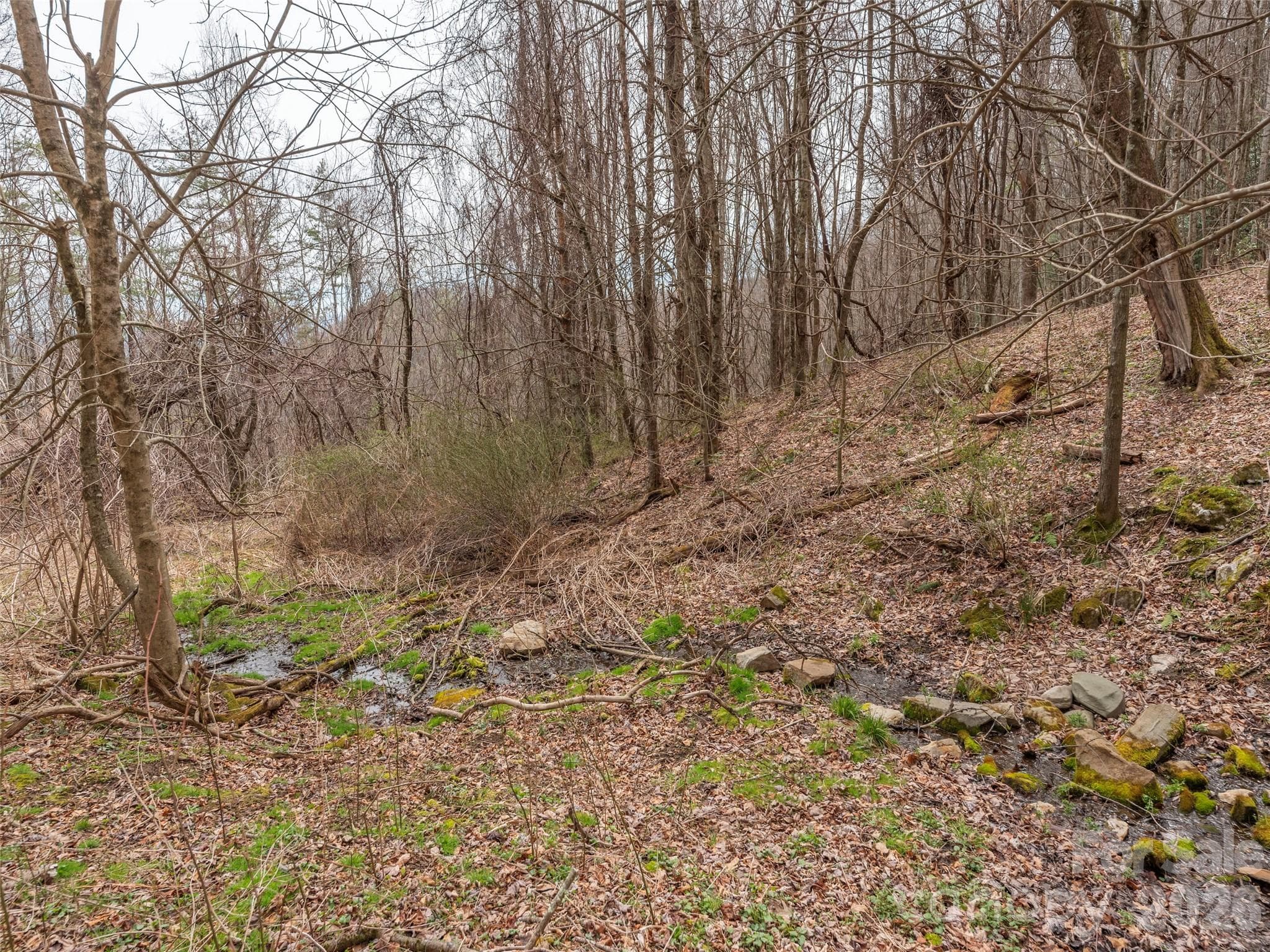 Acreage at Waynesville, photo 10 of 24