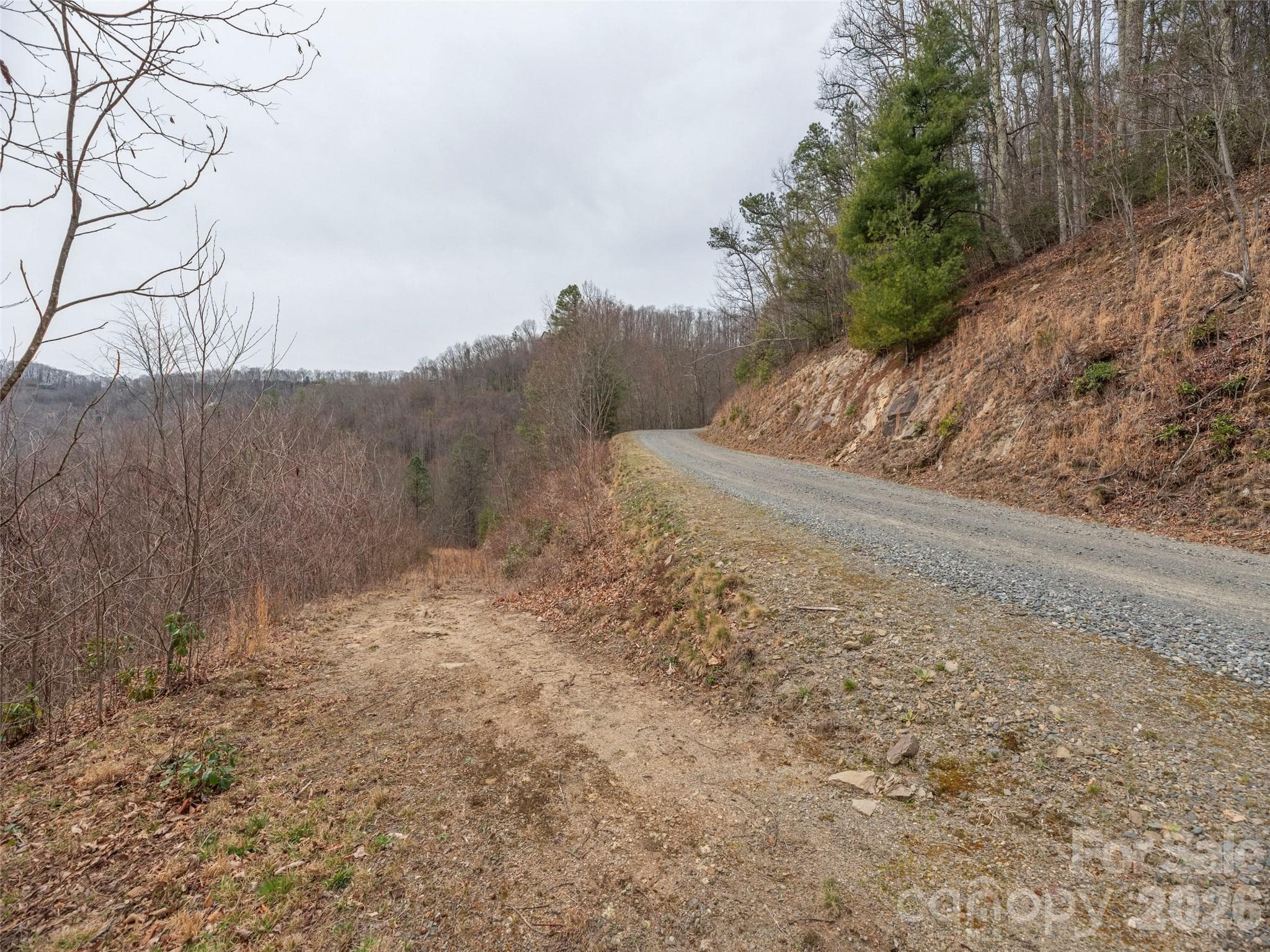 Acreage at Waynesville, photo 11 of 24