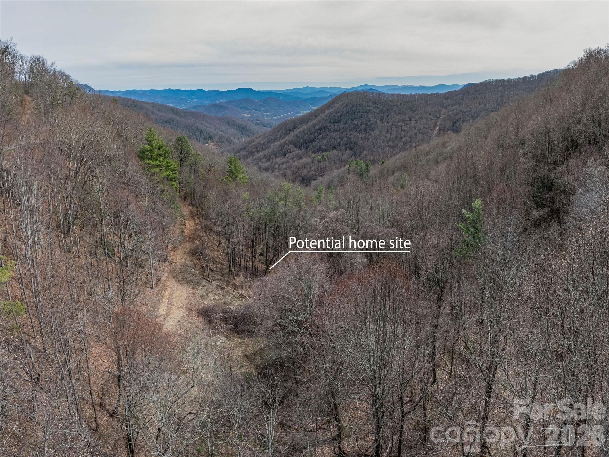 Acreage at Waynesville, photo 14 of 24