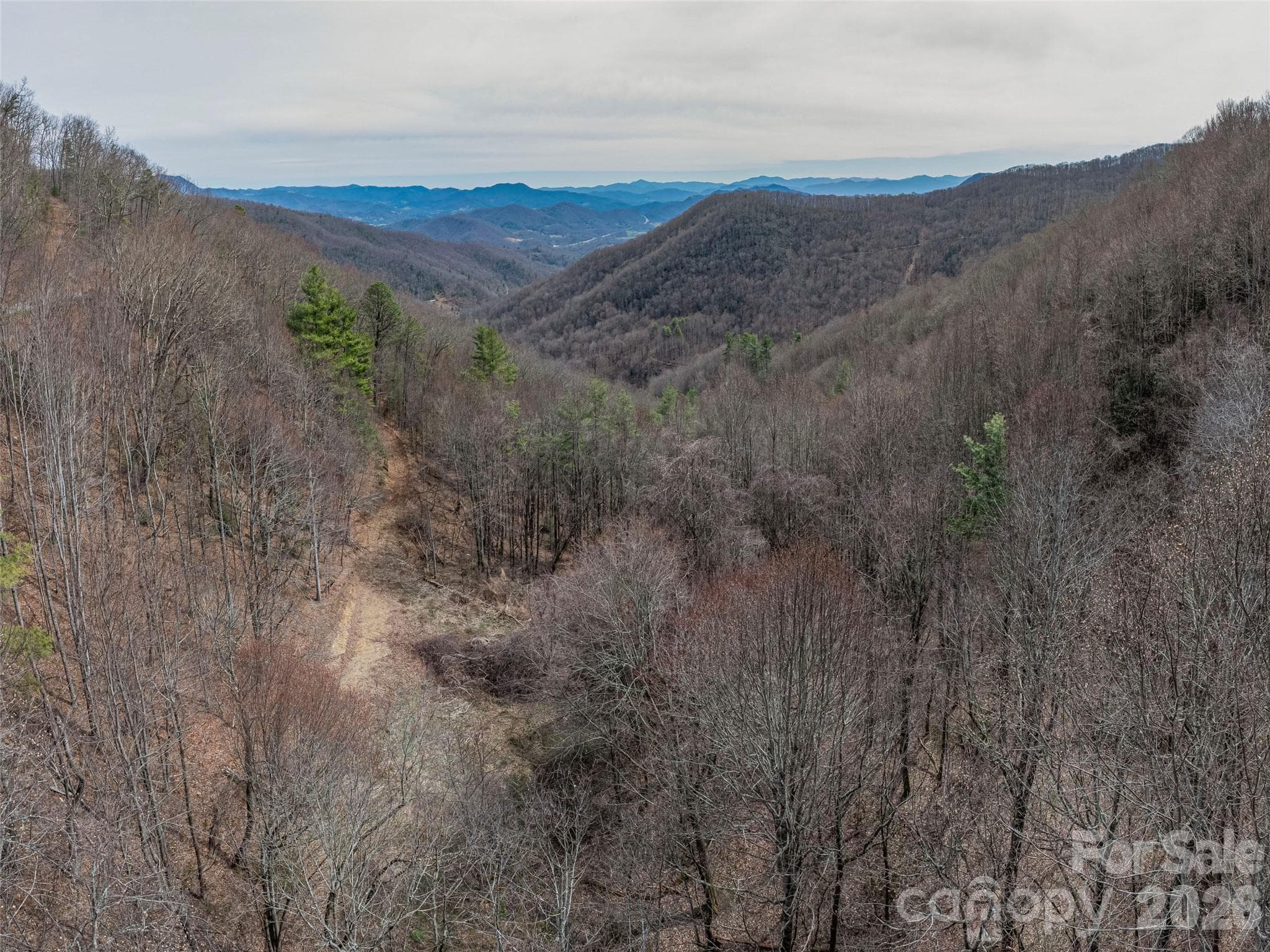 Acreage at Waynesville, photo 15 of 24