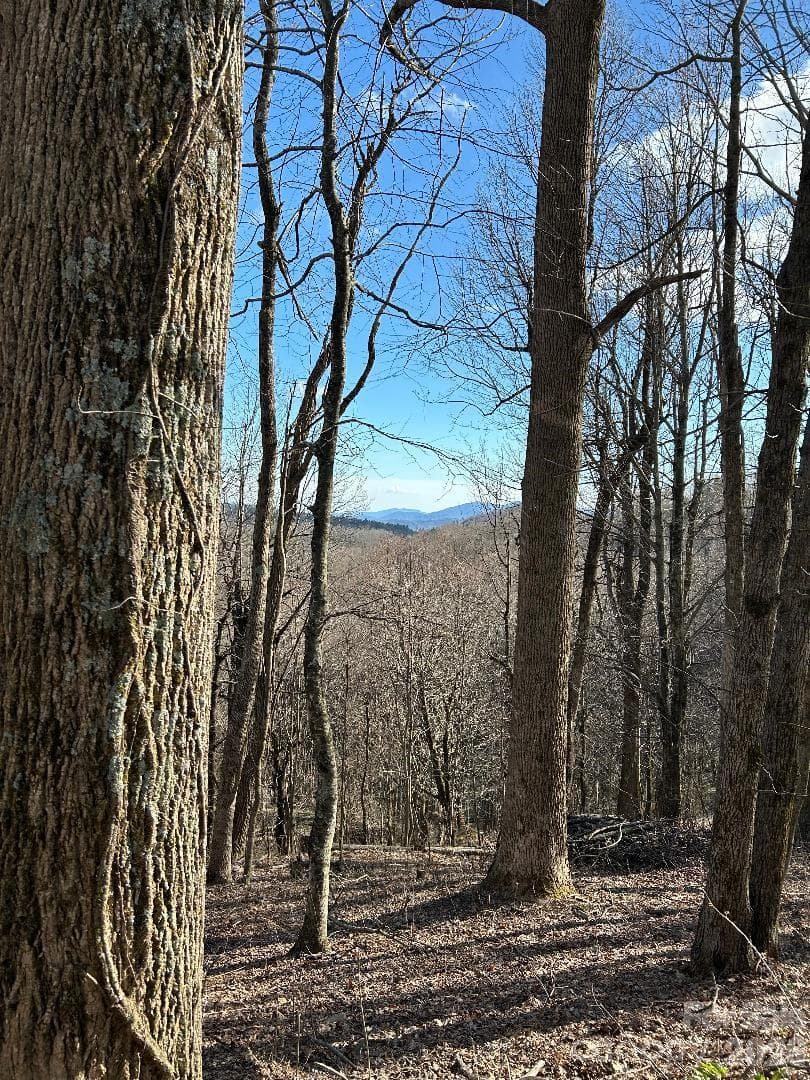Lot at Lot 32 Strawberry Ridge Road, Little Switzerland, photo 16 of 16