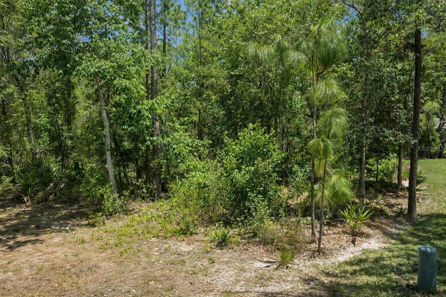 Land at 17 SPECEBERRY CIR, HOMOSASSA, photo 3 of 5