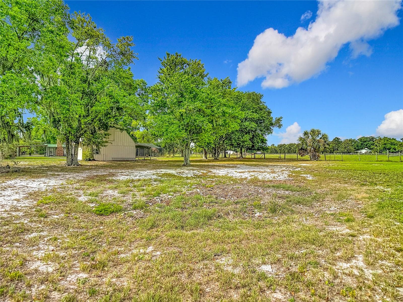 Plenty of space for animals - 216 CORBETT RD, LITHIA