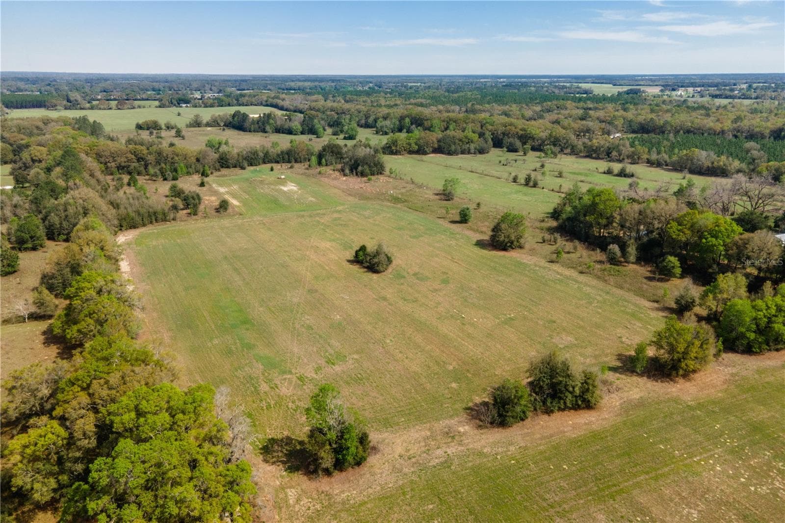 Land at TBD SW 298 ST, NEWBERRY, photo 7 of 18