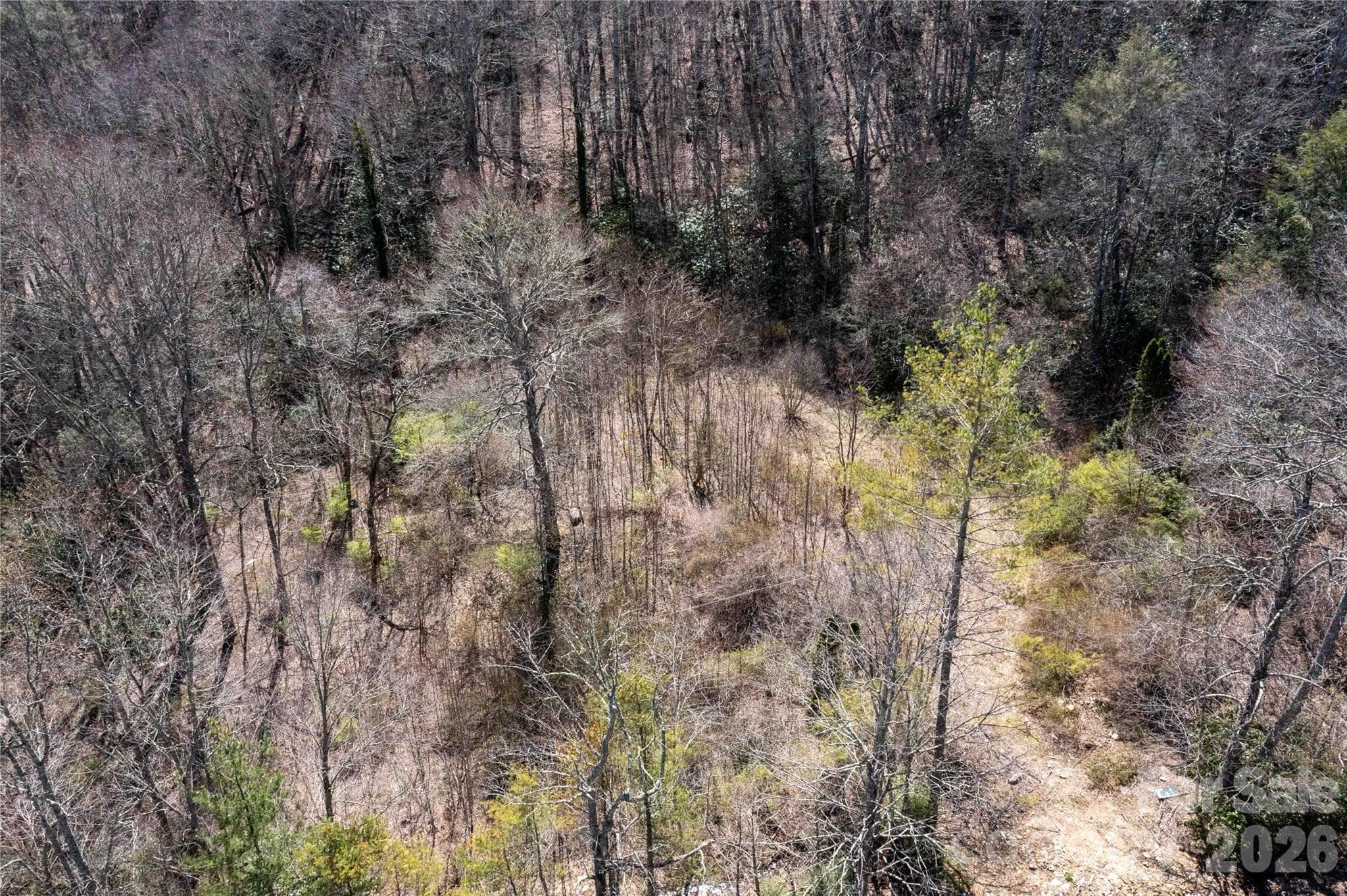 Acreage at Burnsville, photo 3 of 42