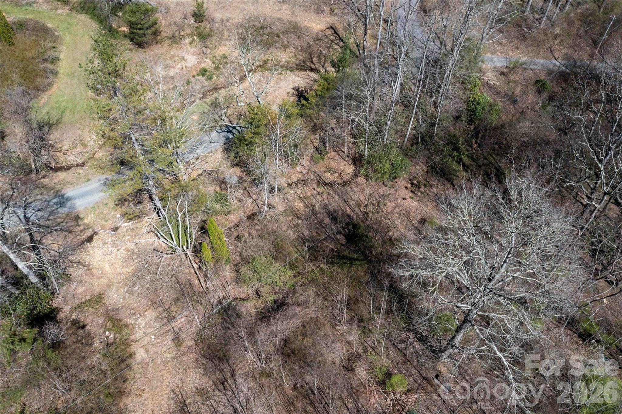 Acreage at Burnsville, photo 4 of 42