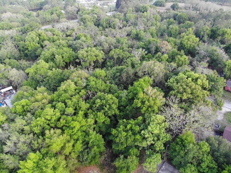 2156 OLD HICKORY TREE RD