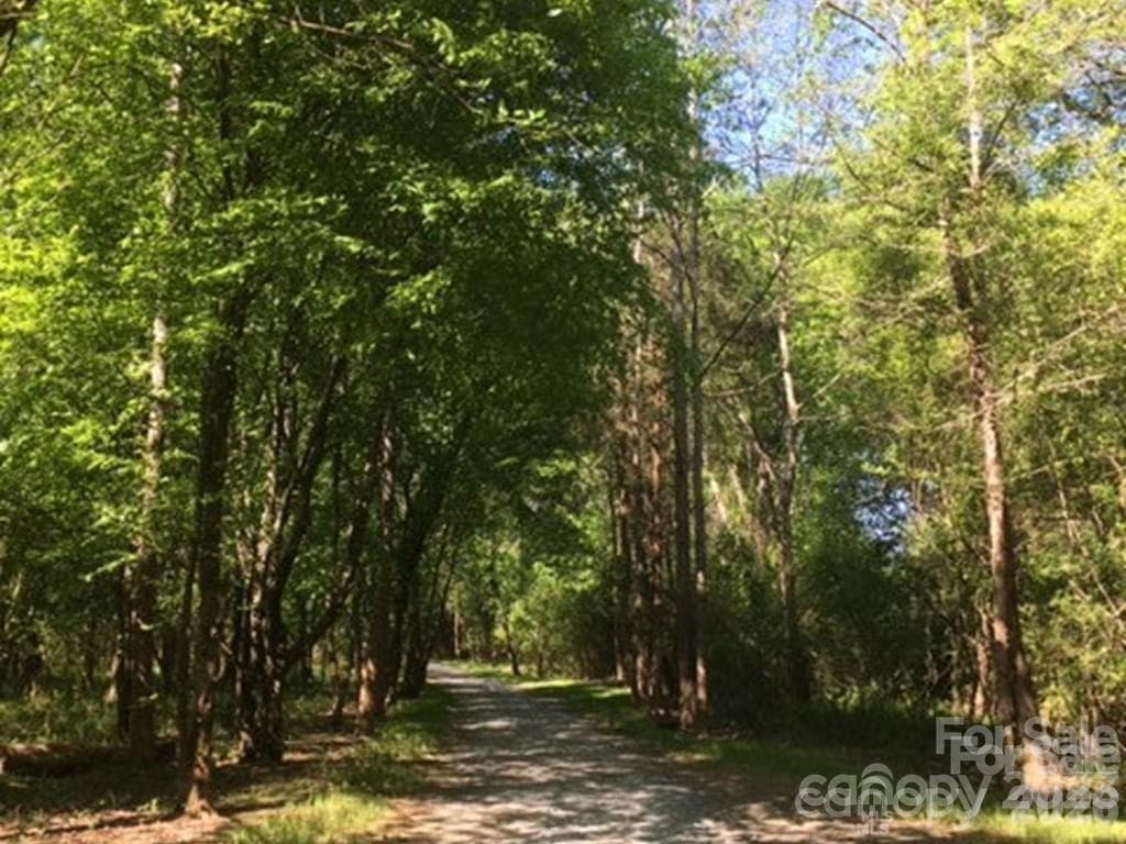 Catawba River access near the kayak center is reached via delightful walk or golf-cart ride along a tree-lined trail near Water's Edge Park. - Indian Land